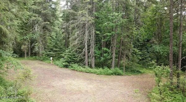$290,000 | 60317 Highway 200, Clark Fork, ID 83811