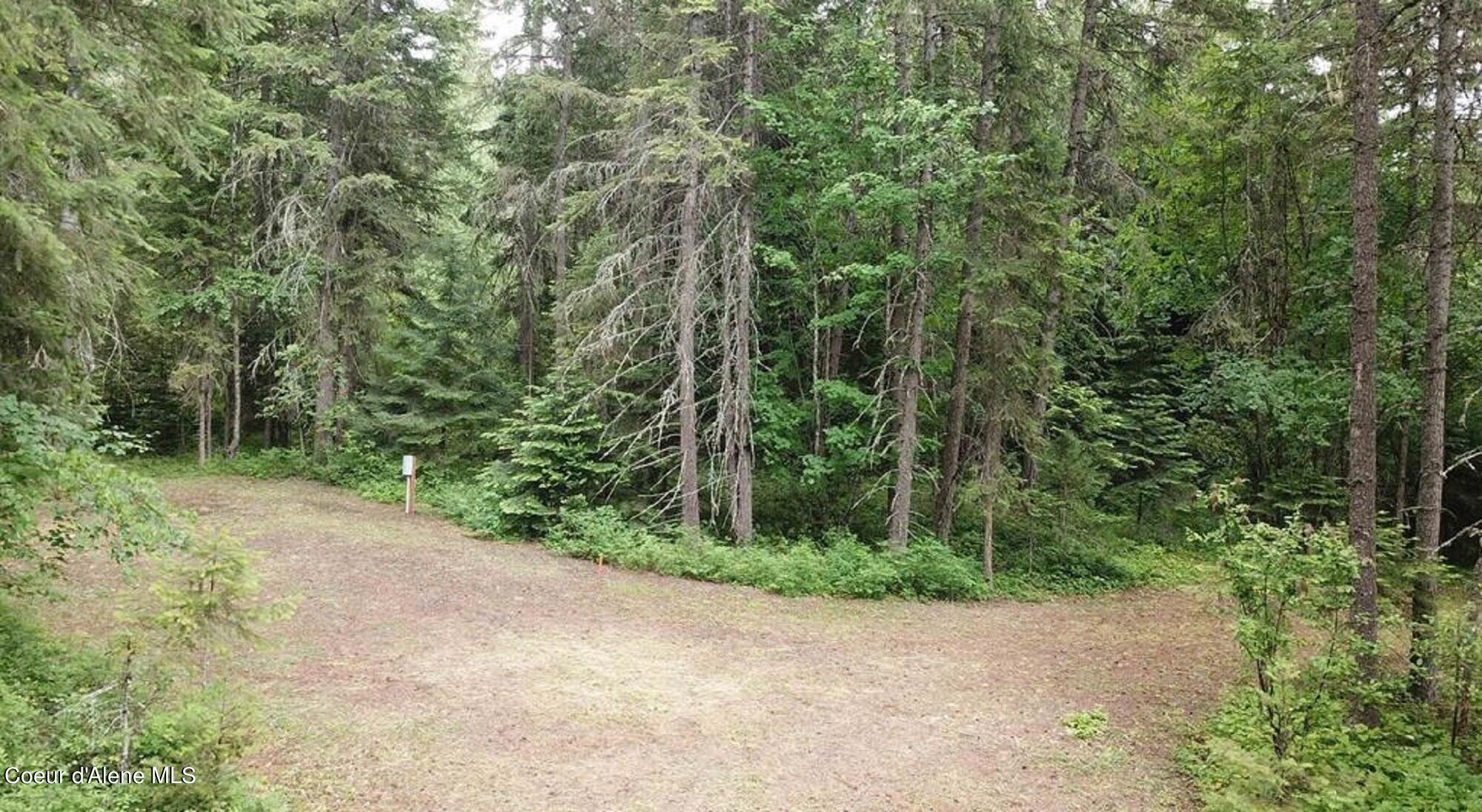 60317 Highway 200 Clark Fork, ID 83811 - Photo 9 of 18 9