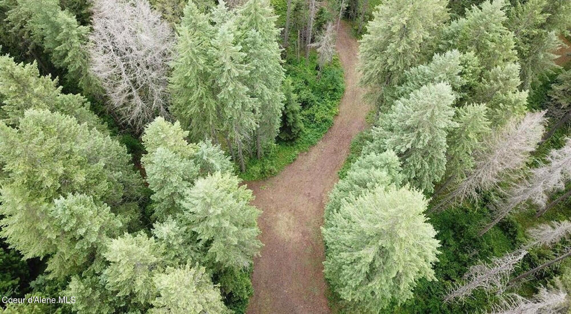60317 Highway 200 Clark Fork, ID 83811 - Photo 10 of 18 10