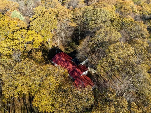 a view of a yard with a tree
