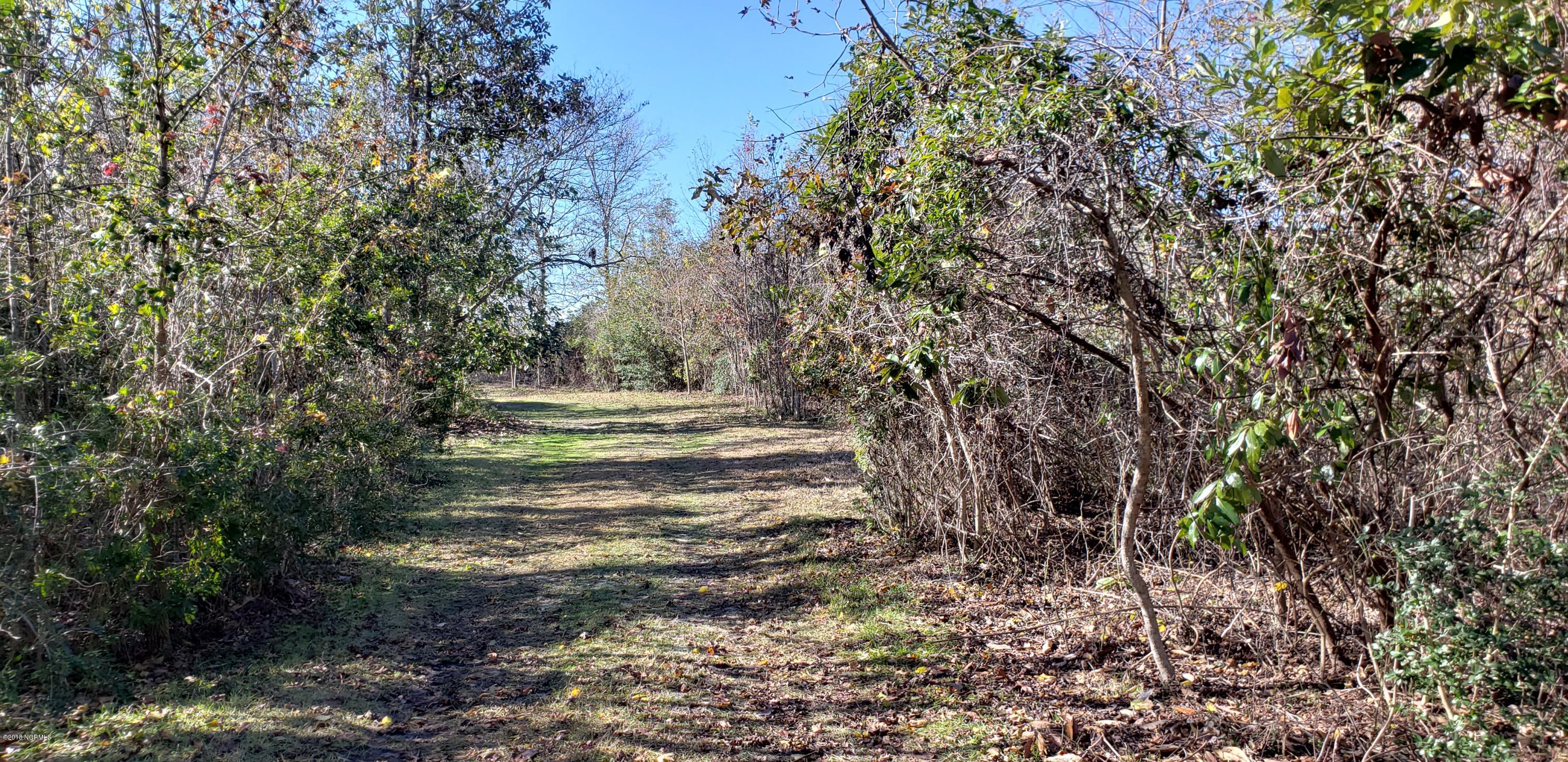 304 Olde Point Loop Hampstead, NC 28443 - Photo 3 of 11 20181217_112231