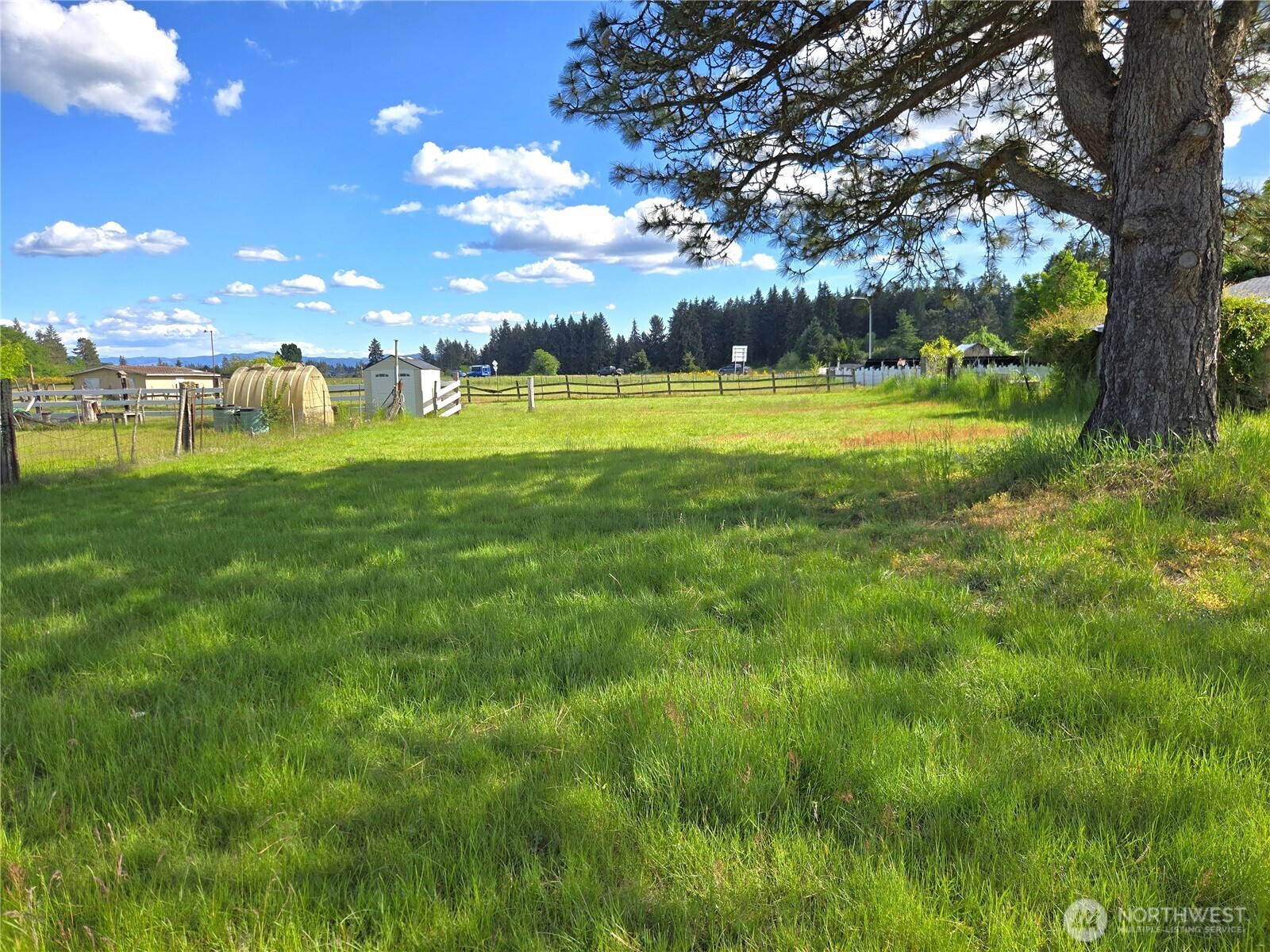 14615 Mud Run Road Southeast Yelm, WA 98597 - Photo 10 of 26