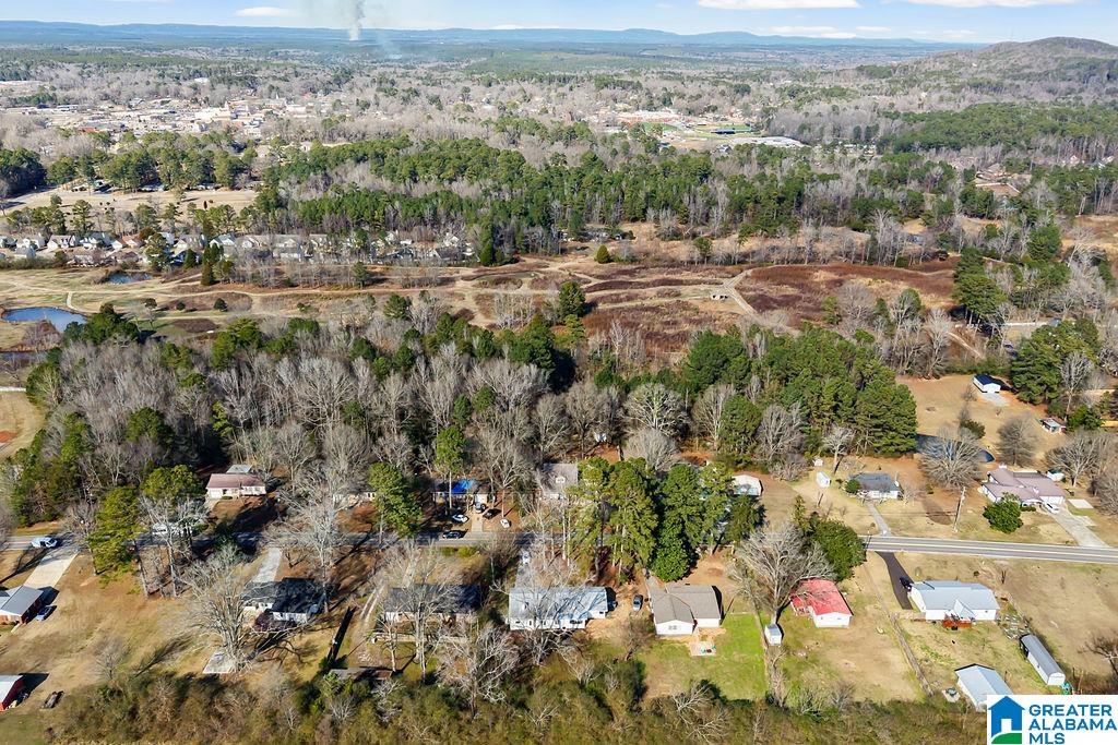 117 Mooney Road Columbiana, AL 35051 - Photo 54 of 56