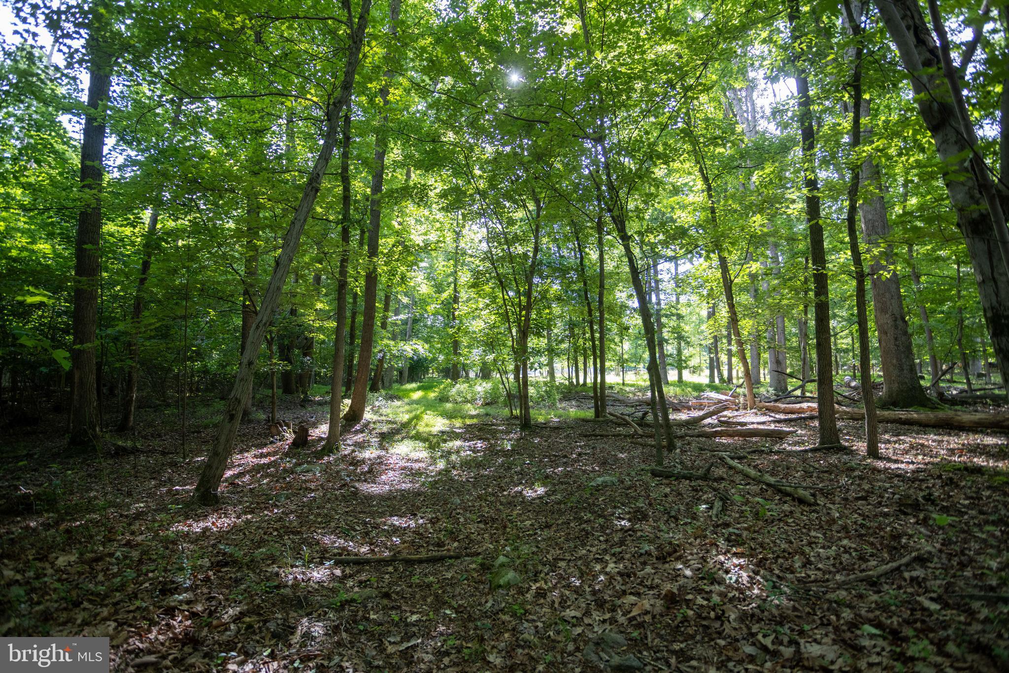110 Cold Springs Road Carlisle, PA 17015 - Photo 19 of 25