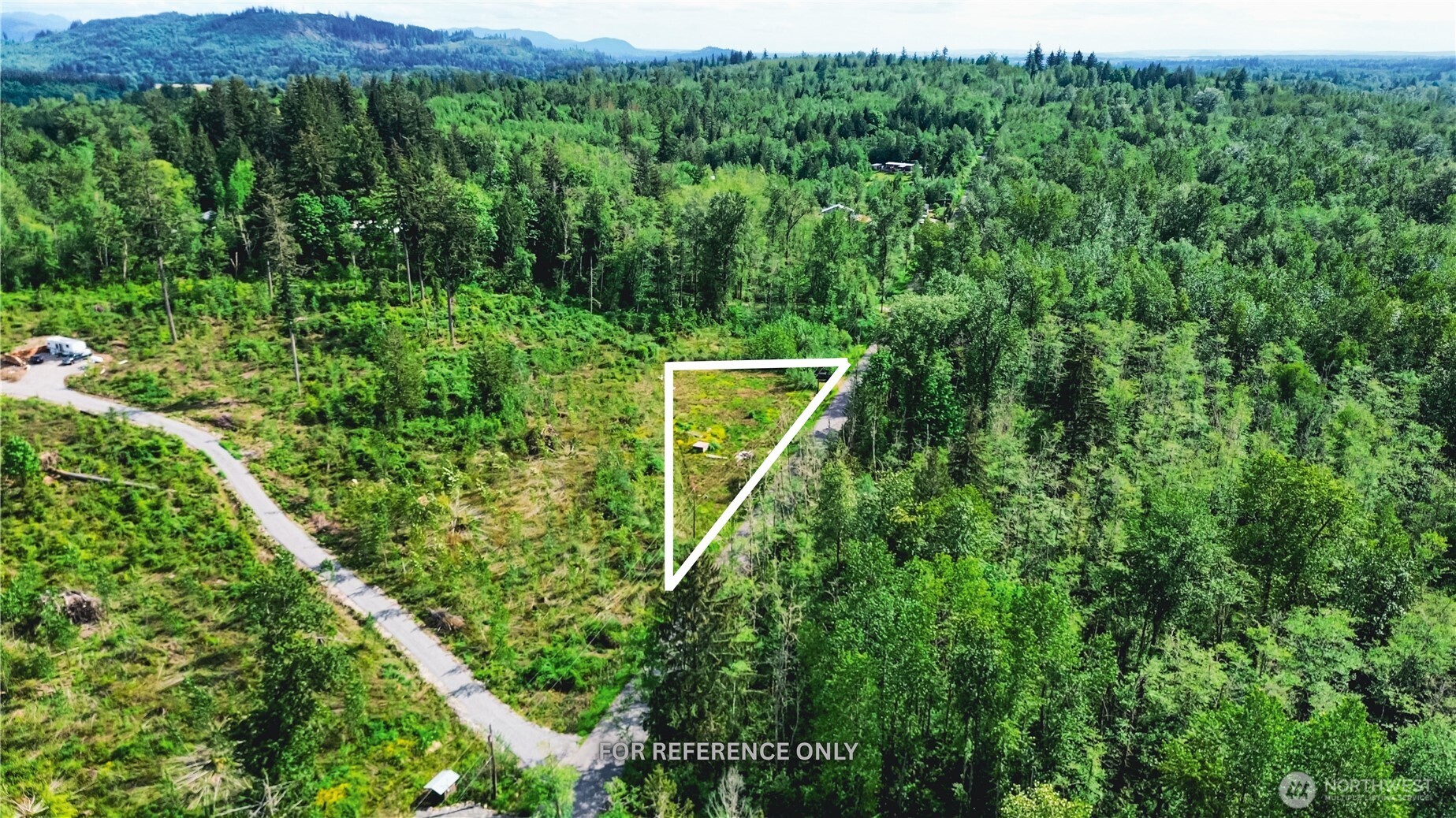 a view of a lush green field with a tree