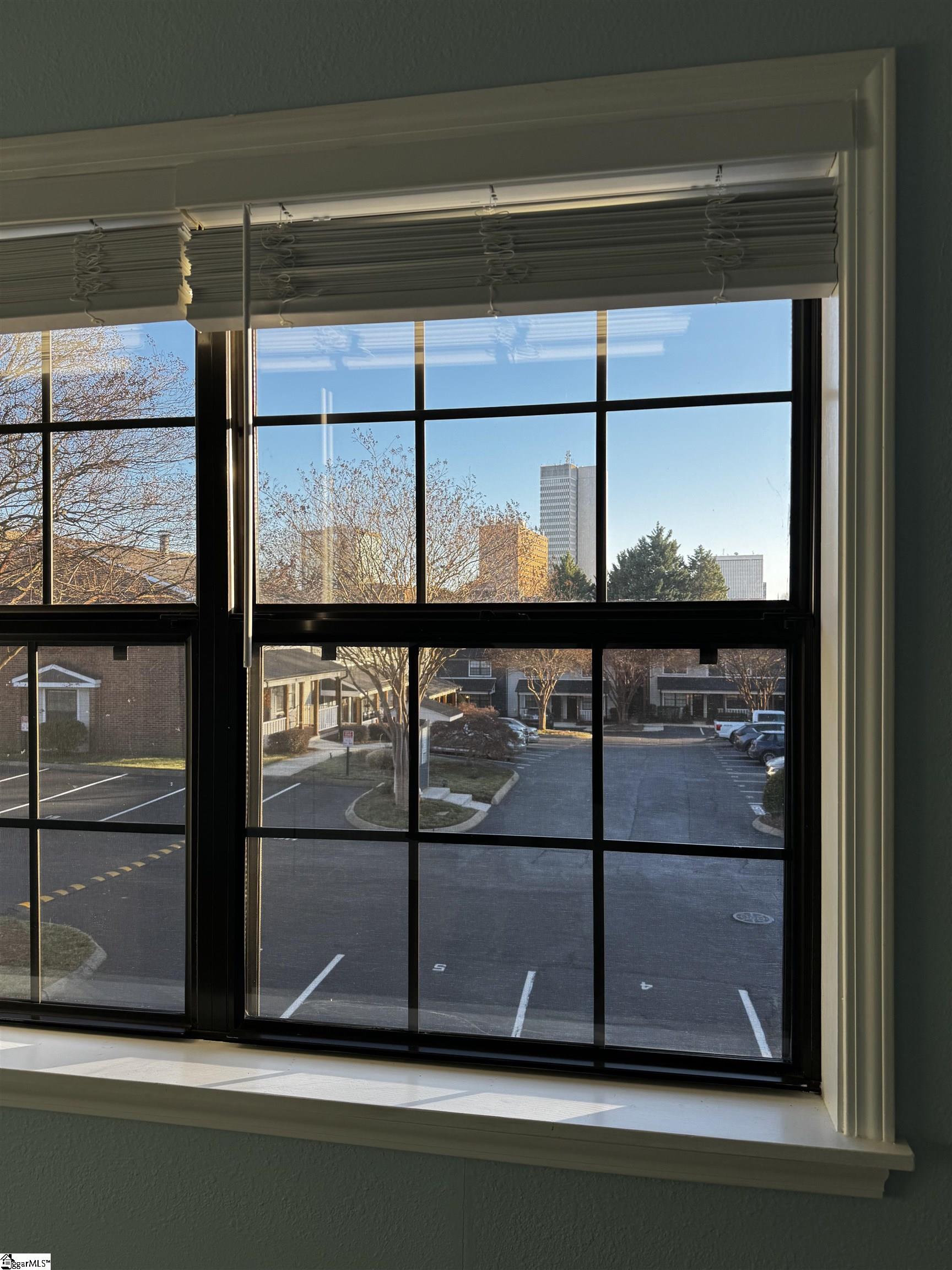 408 Townes Street, Unit 4 Greenville, SC 29601 - Photo 21 of 27