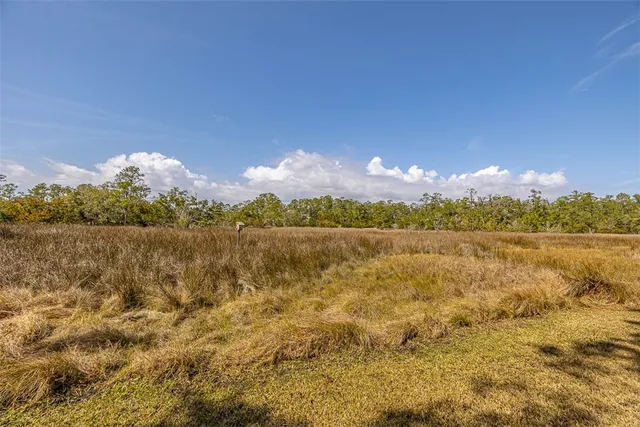 $8,000 | 6201 Frederica Road, St. Simons Island, GA 31522