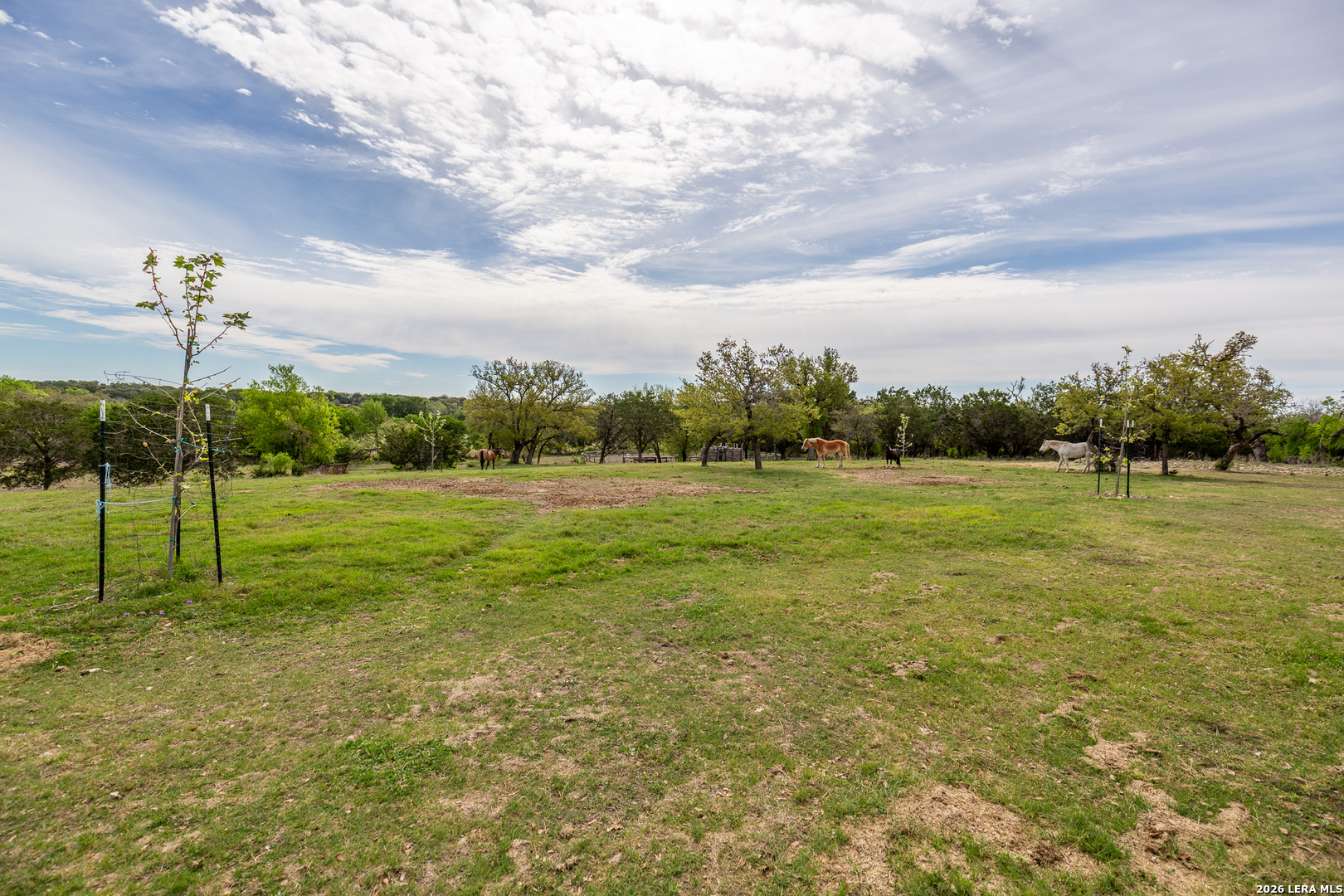 395 Bluff Creek Road North Center Point, TX 78010 - Photo 31 of 50 a view of a garden