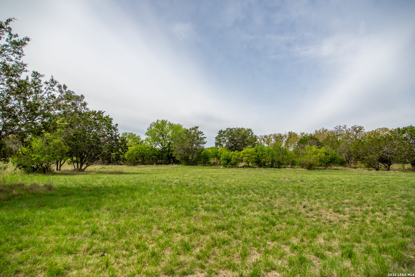 395 Bluff Creek Road North Center Point, TX 78010 - Photo 39 of 50 a view of a field with trees in the background
