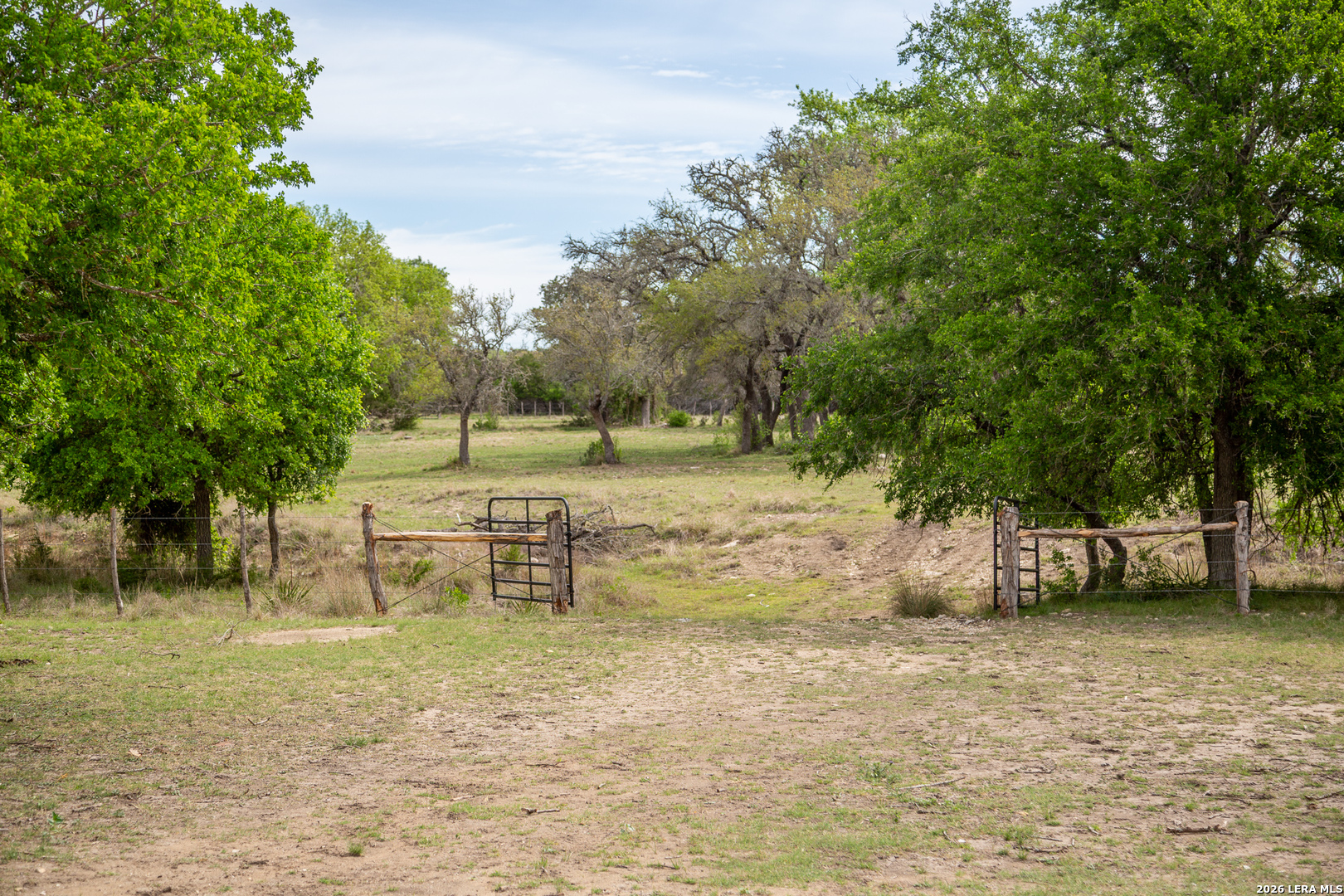 395 Bluff Creek Road North Center Point, TX 78010 - Photo 40 of 50 a view of a park with large trees