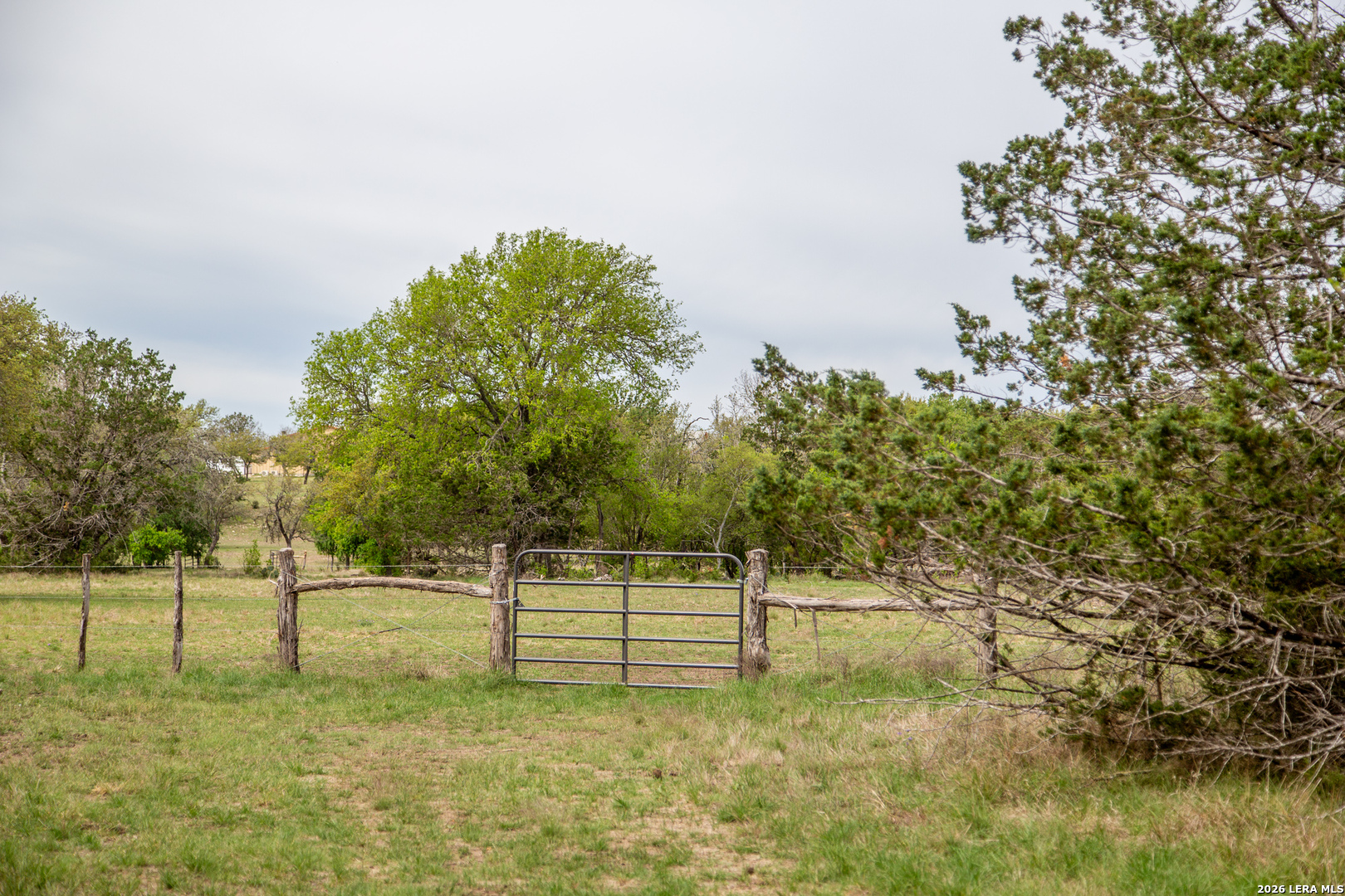 395 Bluff Creek Road North Center Point, TX 78010 - Photo 44 of 50 a view of a bench in a field