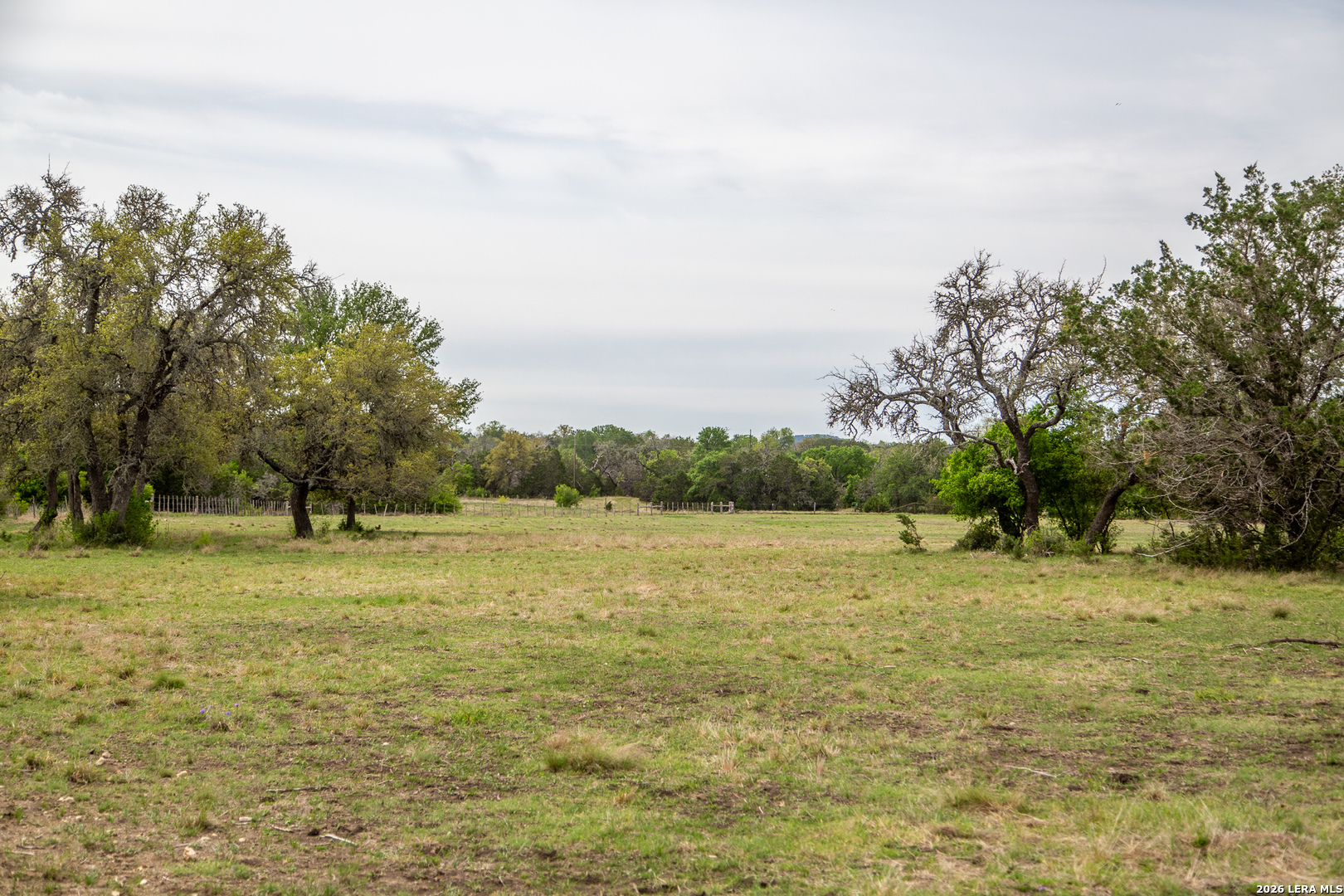 395 Bluff Creek Road North Center Point, TX 78010 - Photo 46 of 50 a view of outdoor space with trees