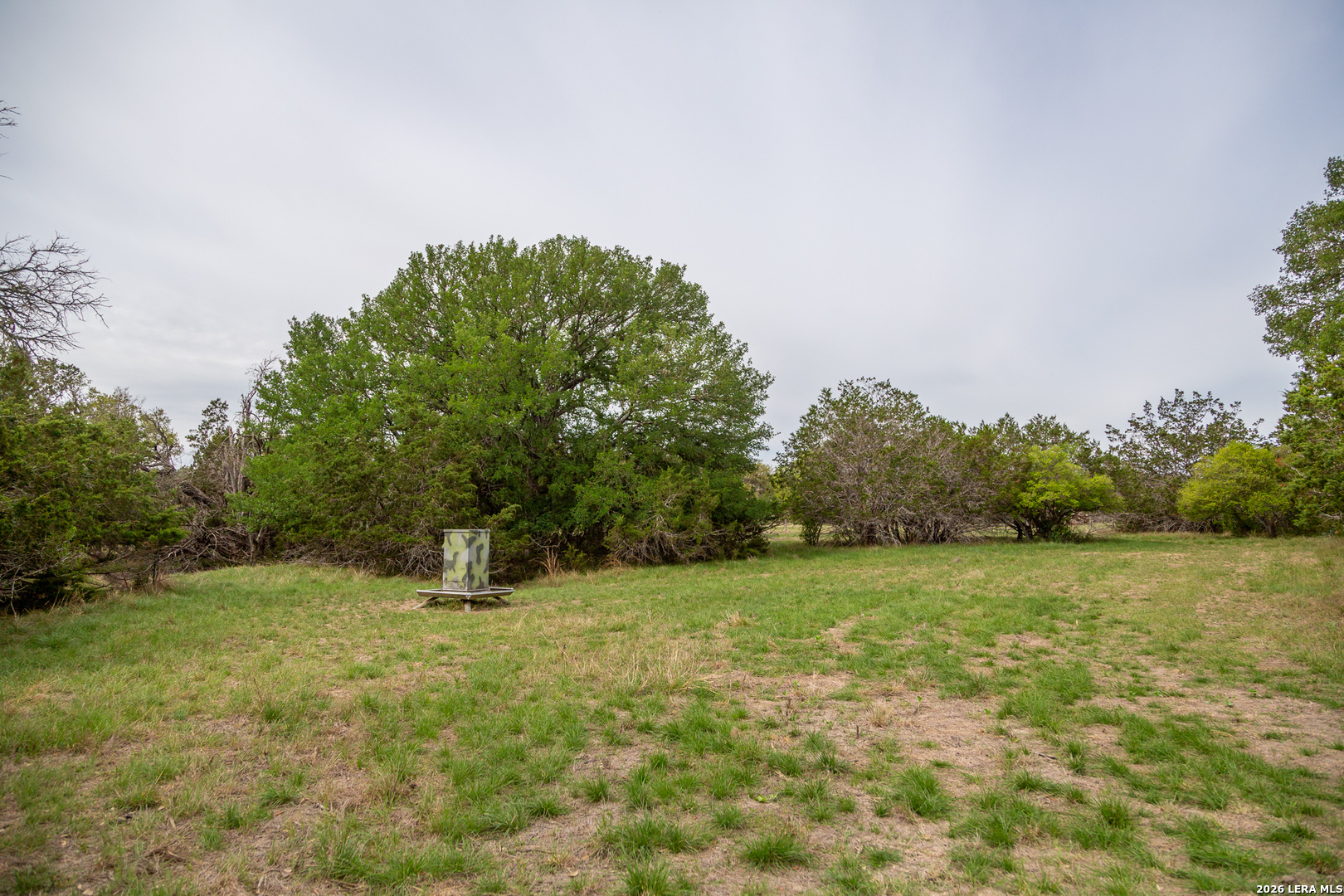 395 Bluff Creek Road North Center Point, TX 78010 - Photo 47 of 50 a view of an outdoor space and a yard