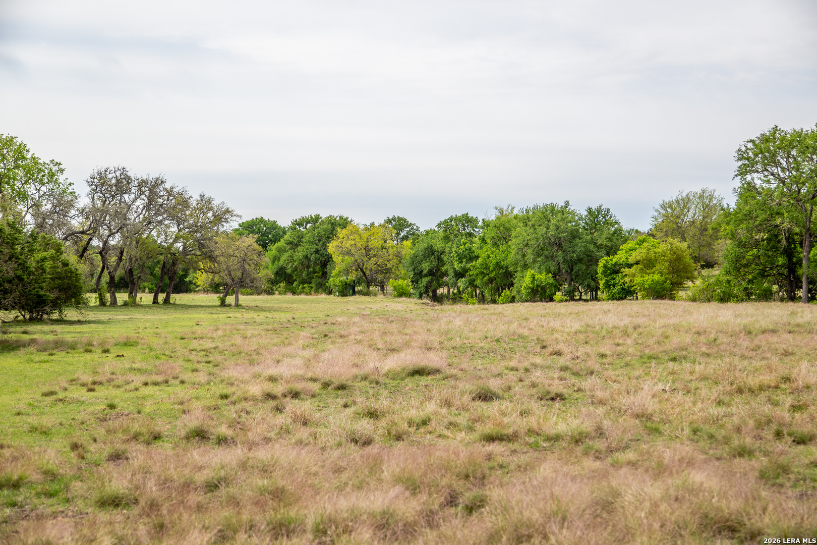 395 Bluff Creek Road North Center Point, TX 78010 - Photo 48 of 50 a view of outdoor space with trees