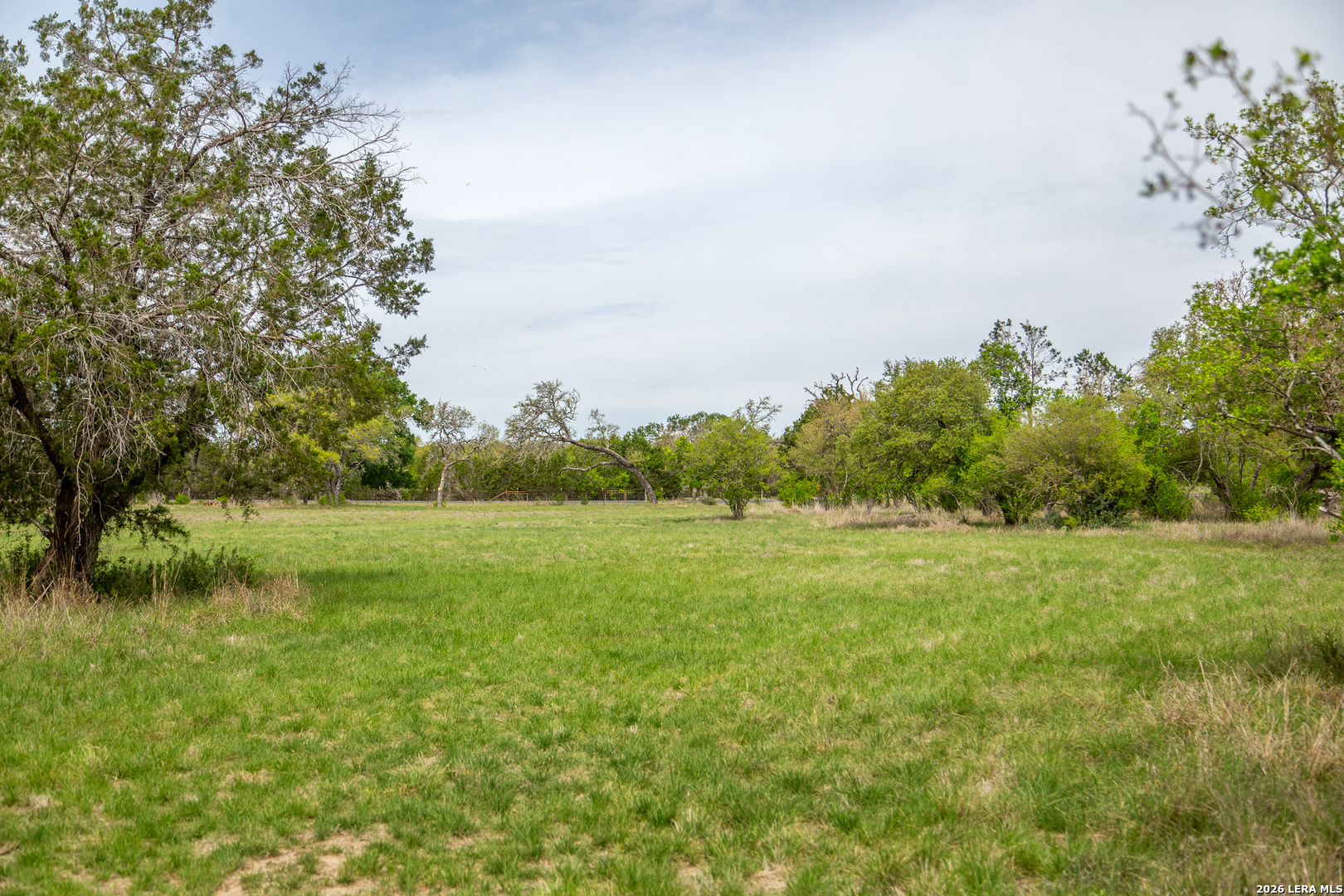 395 Bluff Creek Road North Center Point, TX 78010 - Photo 5 of 50 a view of field with trees in the background