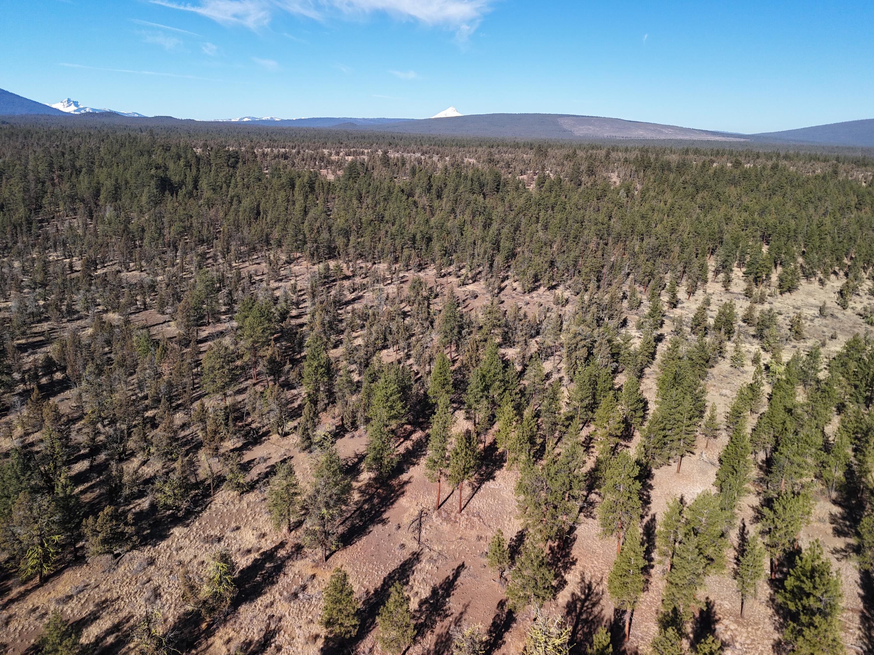 17390 Big Buck Road Sisters, OR 97759 - Photo 30 of 35 DJI_20241107112410_0011_D