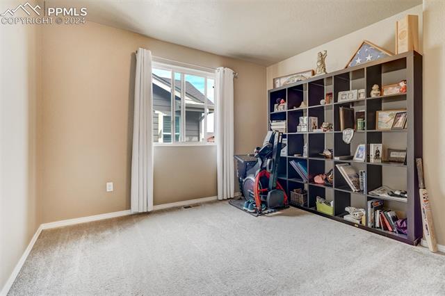 1648 Smokey Ridge Way Colorado Springs, CO 80921 - Photo 36 of 50