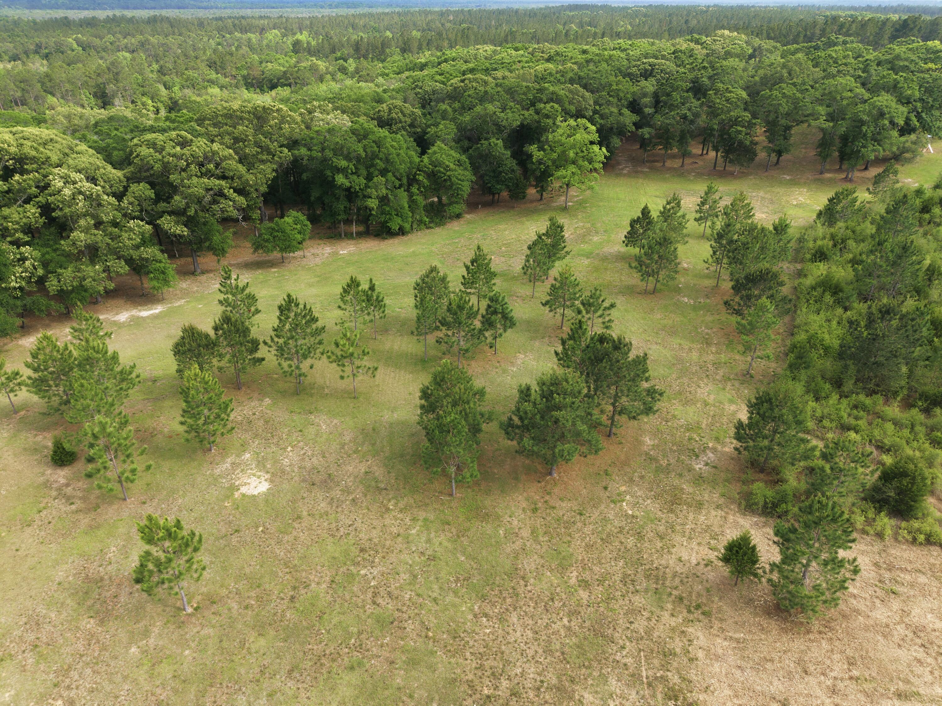 261 Wilkerson Road DeFuniak Springs, FL 32433 - Photo 20 of 76 DJI_20260429154947_0072_D