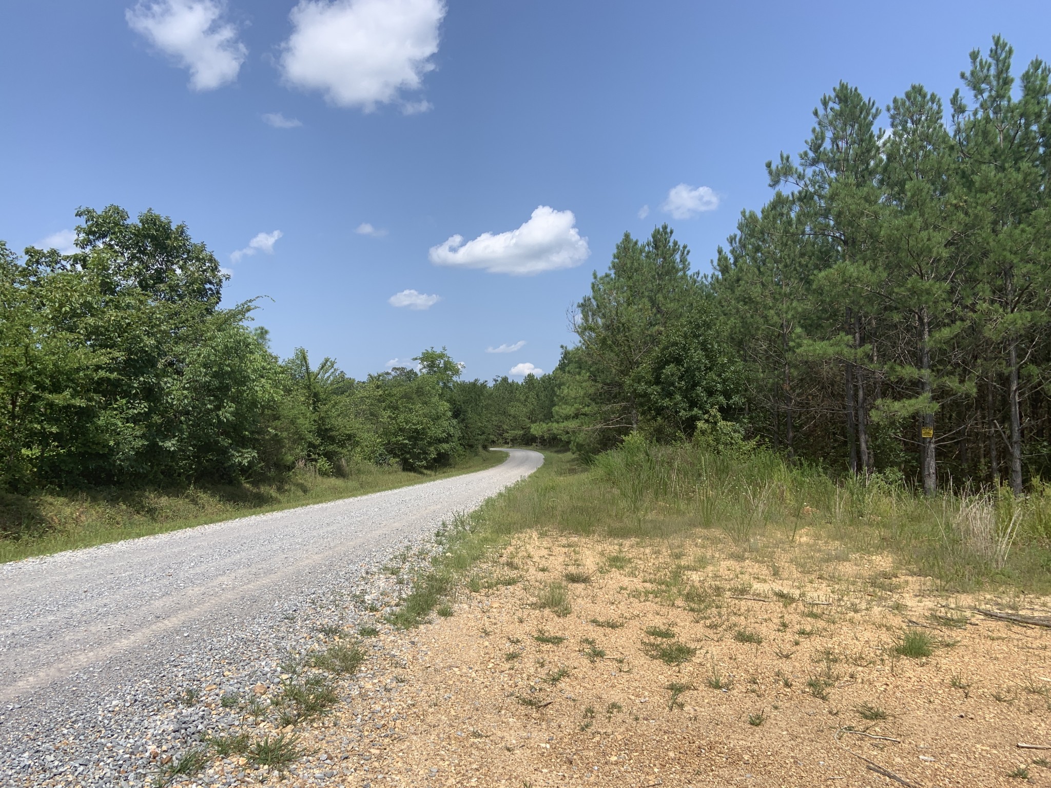 3025 Maple Road Stewart, TN 37175 - Photo 11 of 22 a view of a lake in between two trees