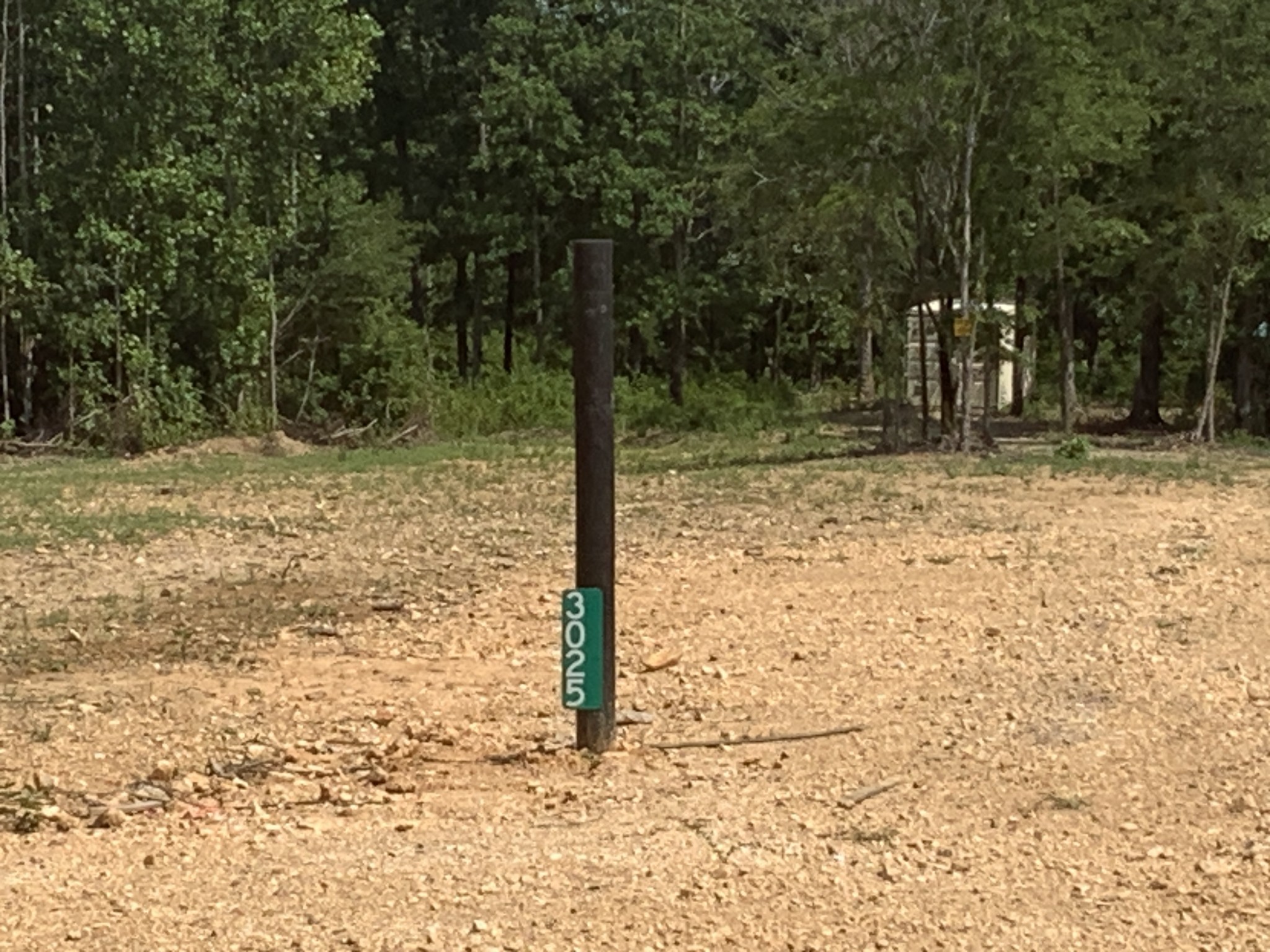 3025 Maple Road Stewart, TN 37175 - Photo 5 of 22 a view of a yard with trees