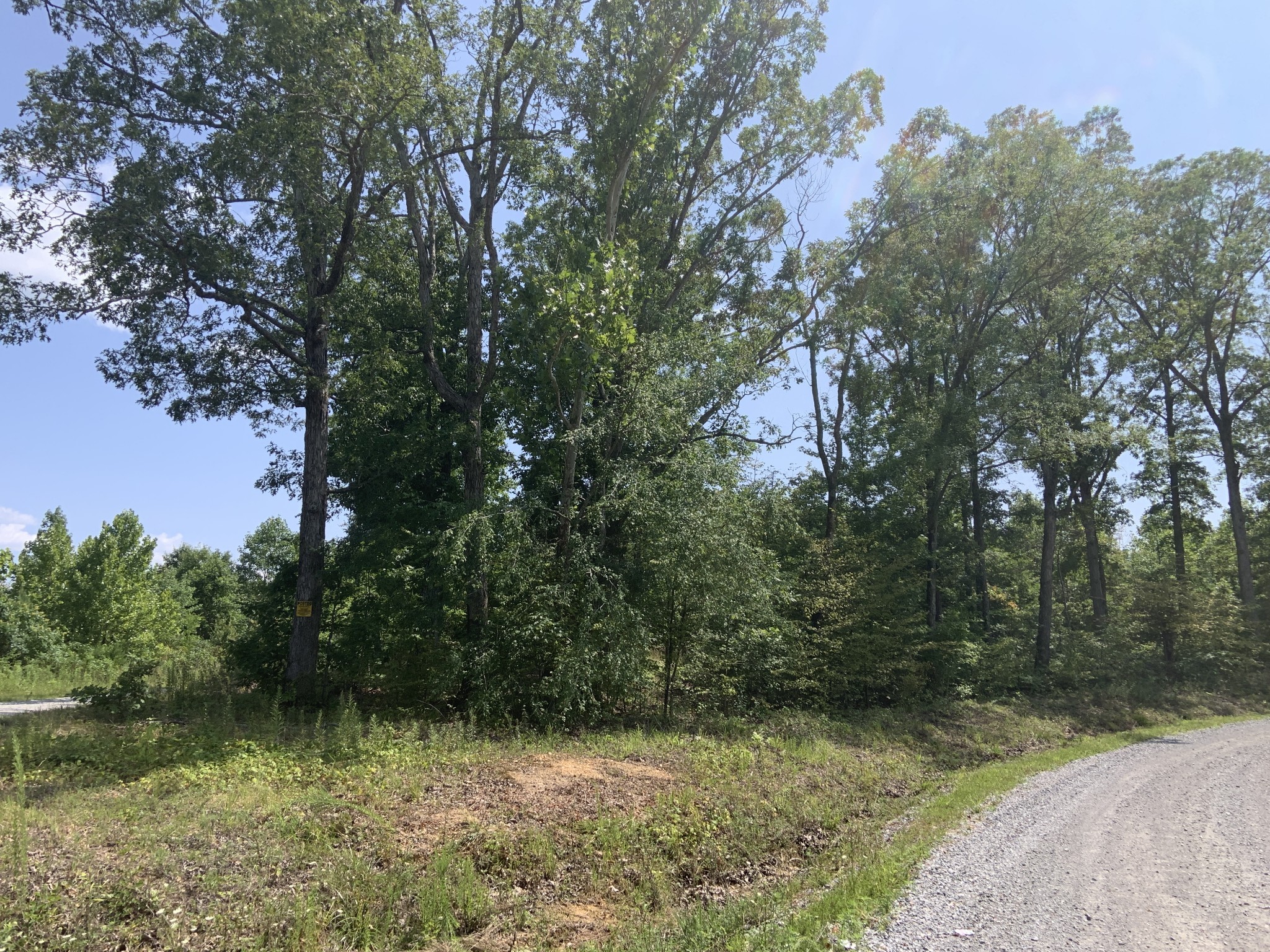 3025 Maple Road Stewart, TN 37175 - Photo 8 of 22 a view of a yard