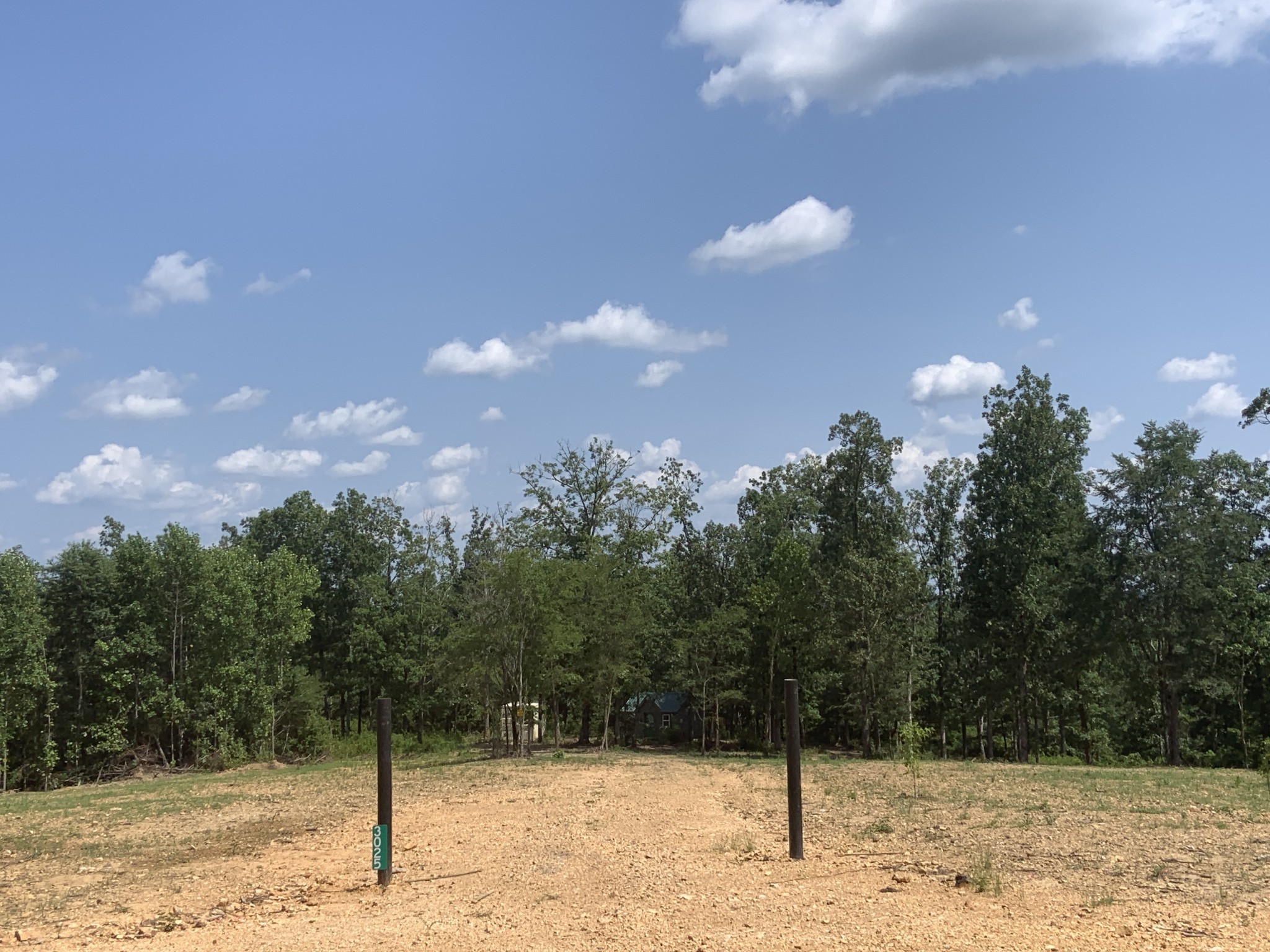 3025 Maple Road Stewart, TN 37175 - Photo 9 of 22 a view of a yard with a tree