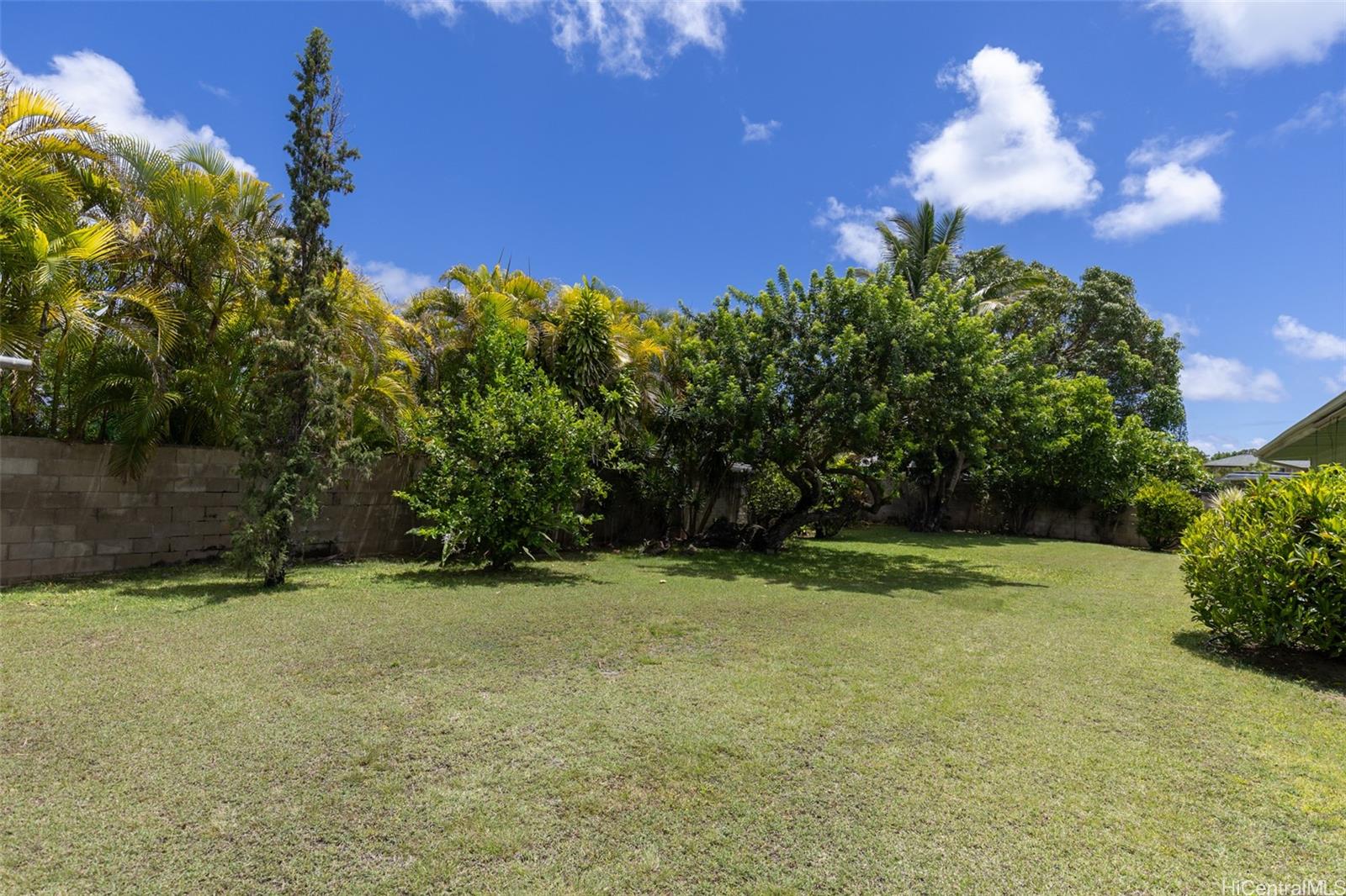 176 Kuulei Road Kailua, HI 96734 - Photo 18 of 25 Expansive back yard, 12,500 sq ft! The backyard is completely enclosed on both sides for children and pets.The possibilities are endless!