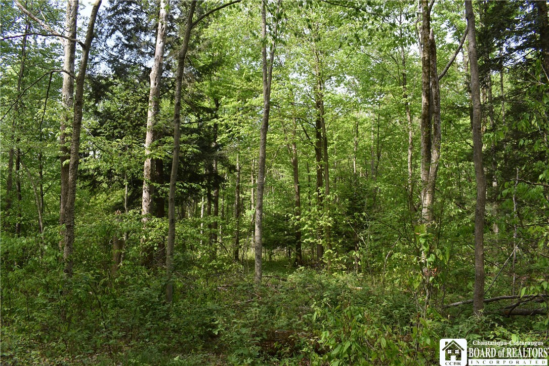10133 Edward Corners Road Perrysburg, NY 14129 - Photo 6 of 28