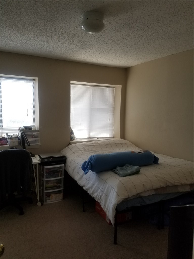 3115 Helms Street, Unit 212 Austin, TX 78705 - Photo 12 of 15