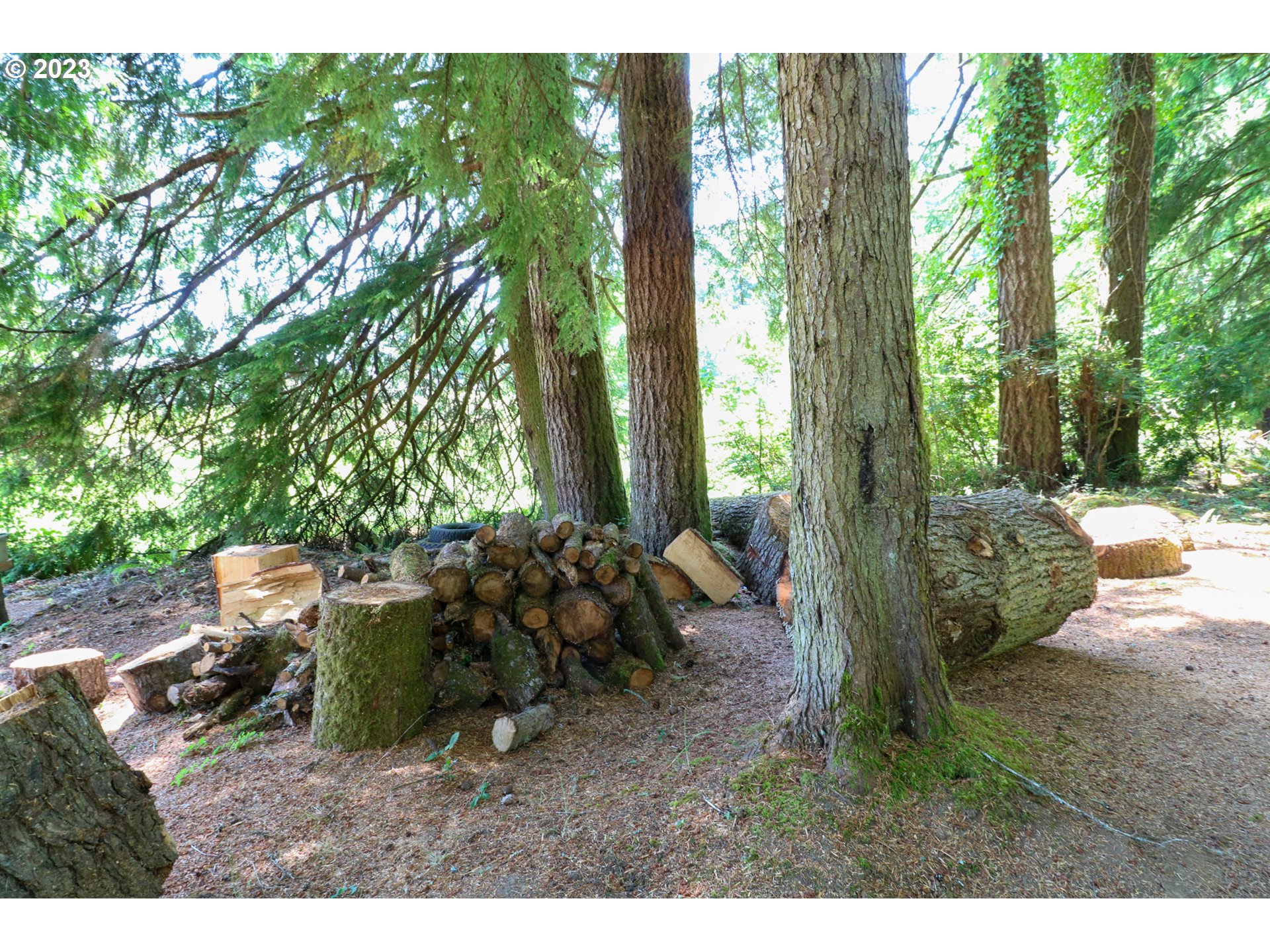 62436 Ross Inlet Road Coos Bay, OR 97420 - Photo 13 of 47 Gallery Image 13