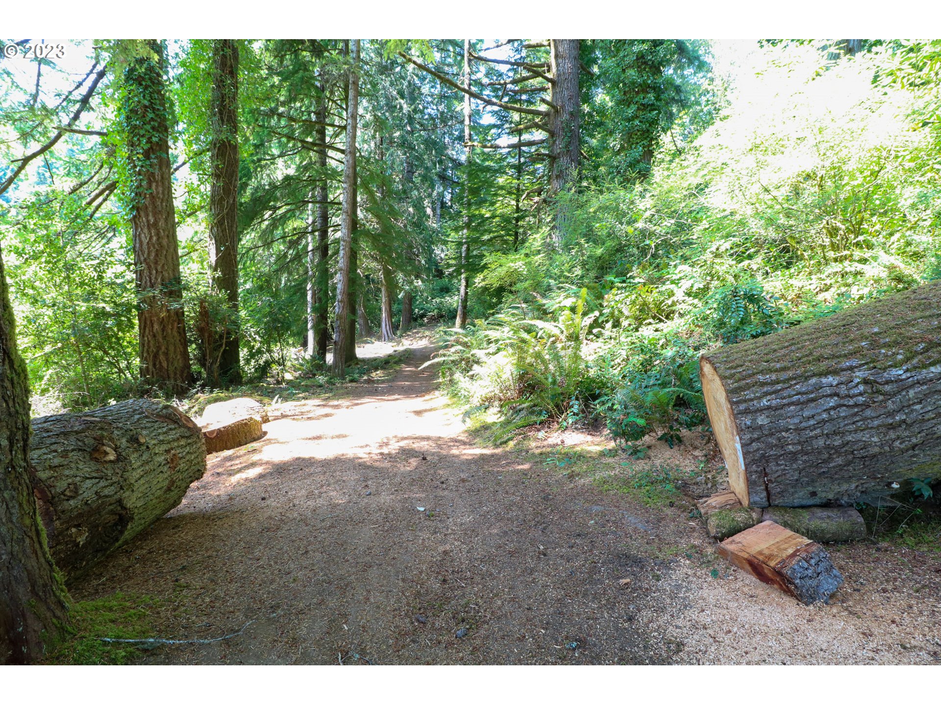 62436 Ross Inlet Road Coos Bay, OR 97420 - Photo 14 of 47 Gallery Image 14