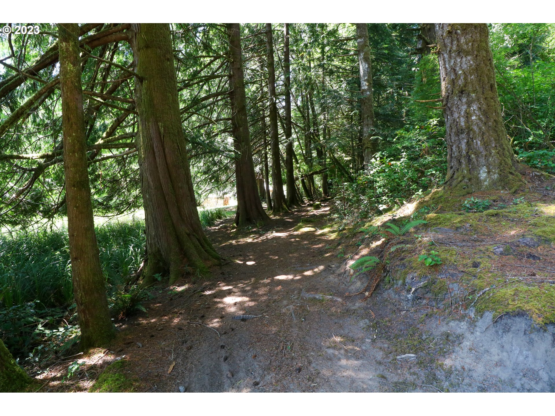 62436 Ross Inlet Road Coos Bay, OR 97420 - Photo 15 of 47 Gallery Image 15