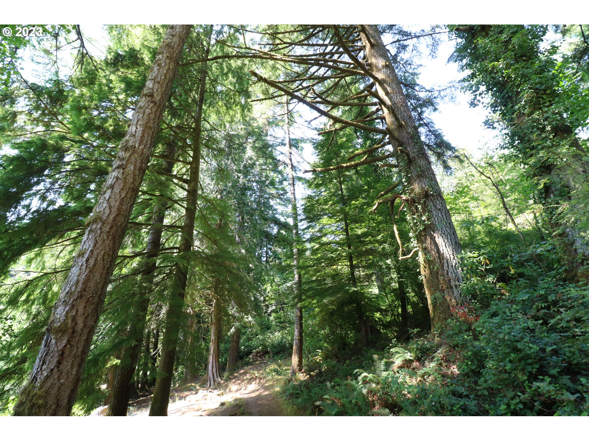 62436 Ross Inlet Road Coos Bay, OR 97420 - Photo 16 of 47 Gallery Image 16