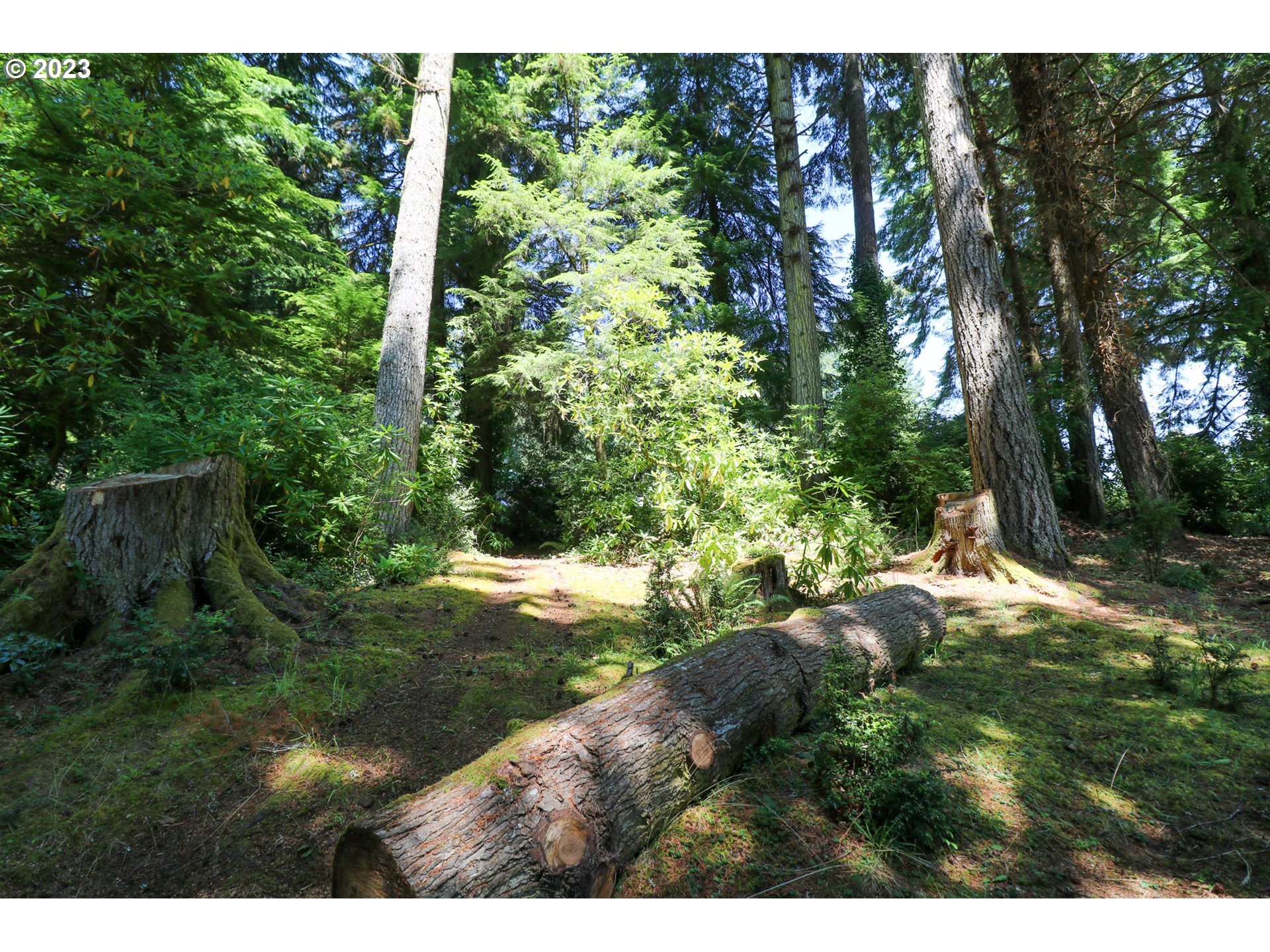 62436 Ross Inlet Road Coos Bay, OR 97420 - Photo 17 of 47 Gallery Image 17