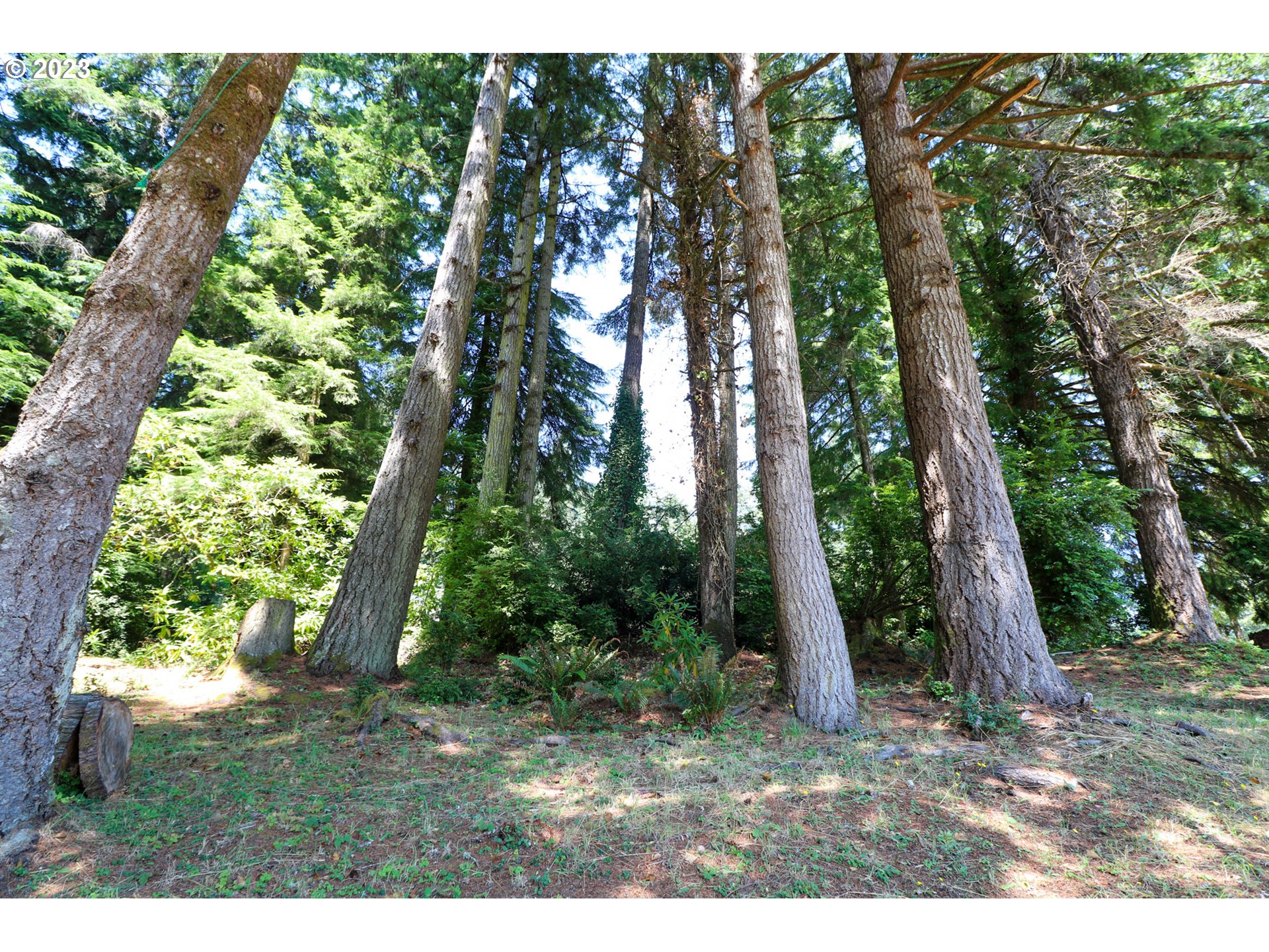 62436 Ross Inlet Road Coos Bay, OR 97420 - Photo 18 of 47 Gallery Image 18