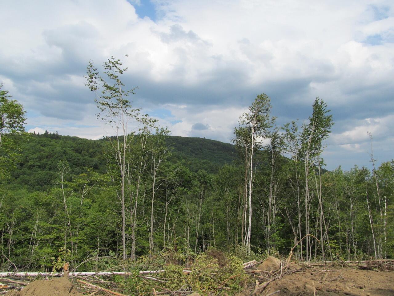 6.61 Mountain Road Buckfield, ME 04220 - Photo 13 of 19 IMG_0796