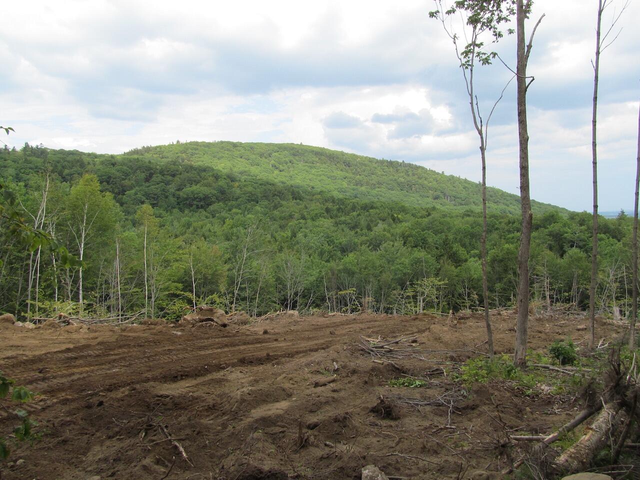 6.61 Mountain Road Buckfield, ME 04220 - Photo 15 of 19 IMG_0798