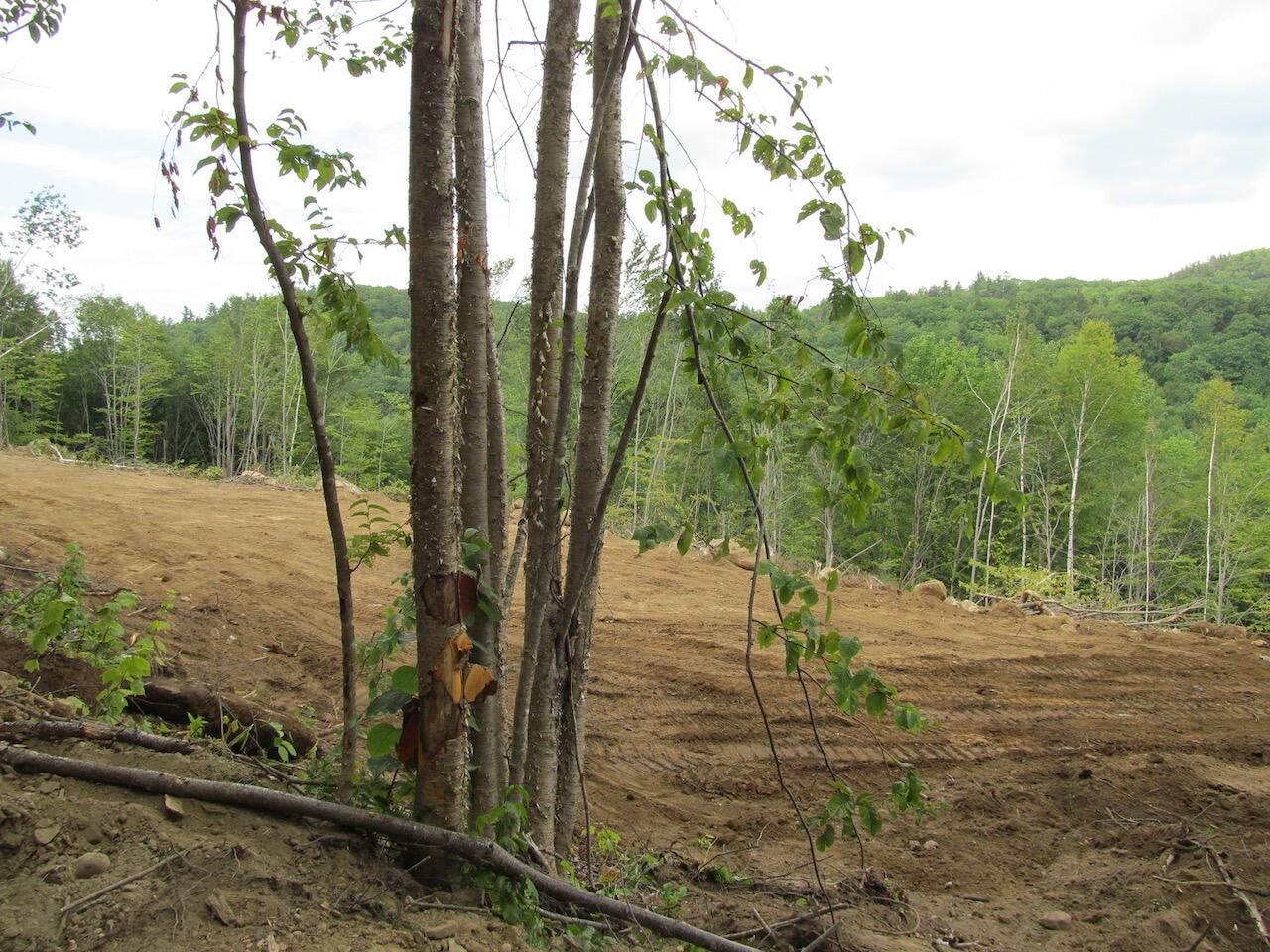 6.61 Mountain Road Buckfield, ME 04220 - Photo 17 of 19 IMG_0800
