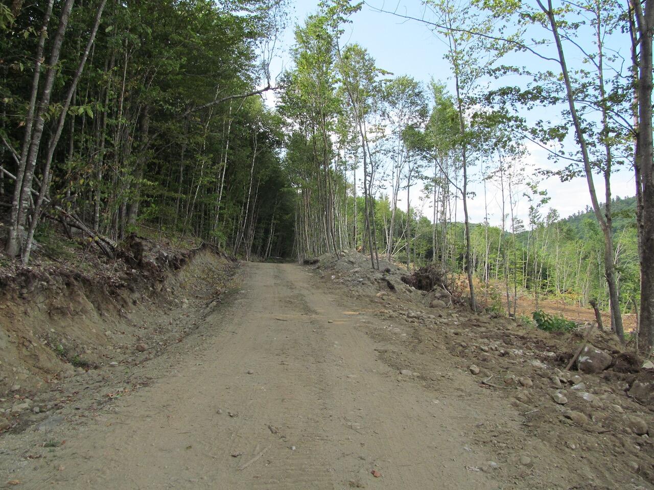6.61 Mountain Road Buckfield, ME 04220 - Photo 19 of 19 IMG_0839