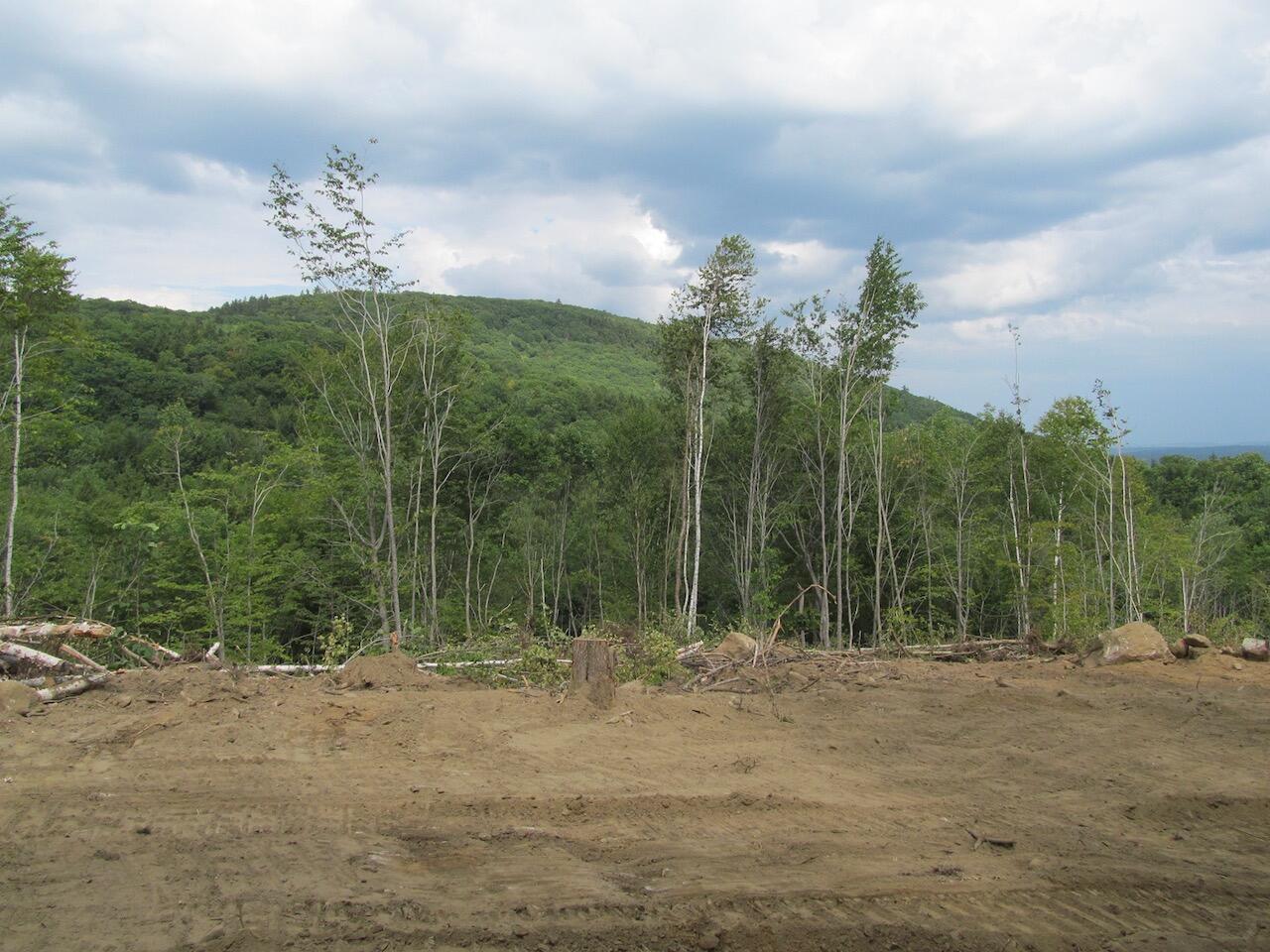 6.61 Mountain Road Buckfield, ME 04220 - Photo 8 of 19 IMG_0791