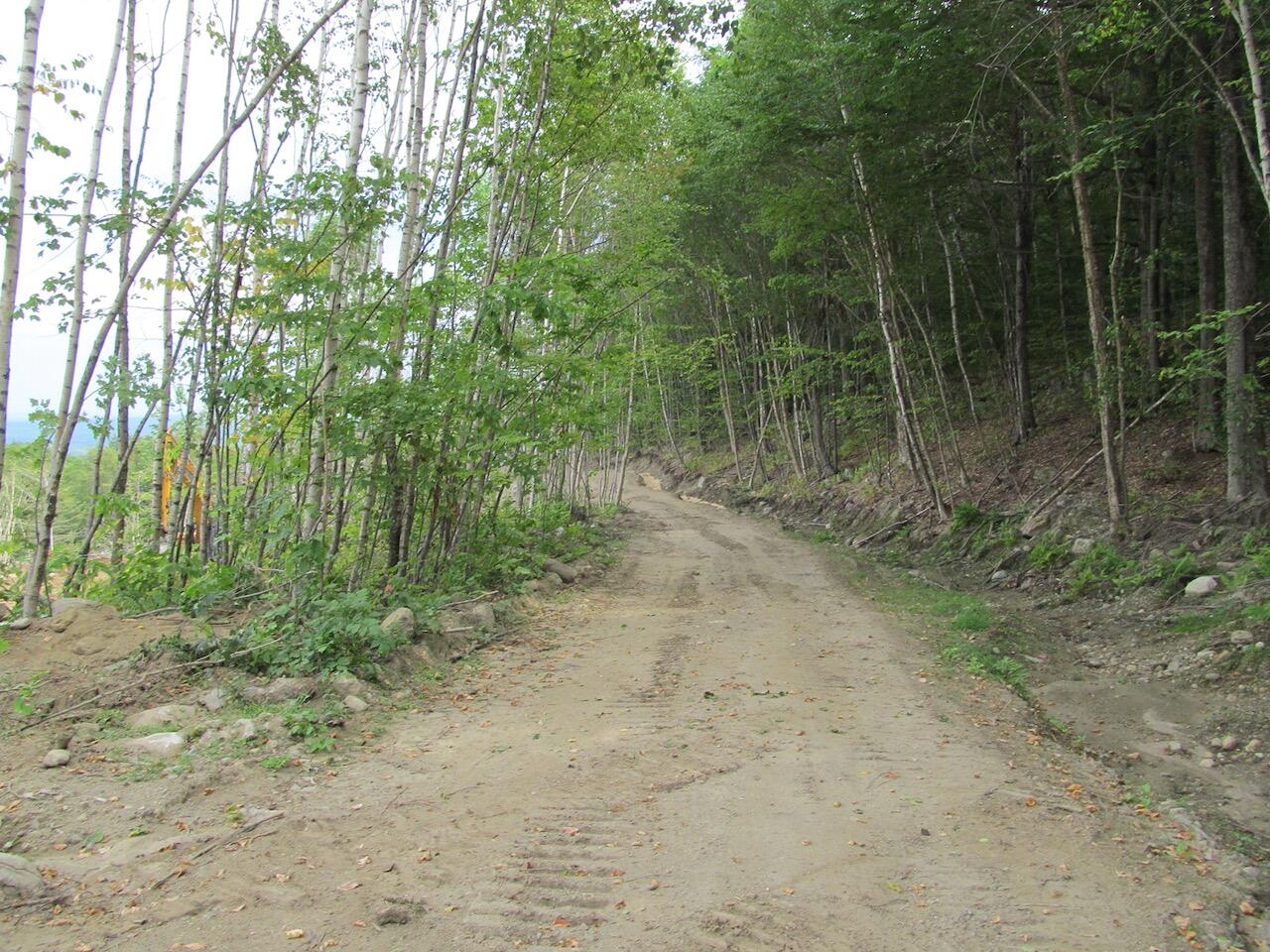 6.61 Mountain Road Buckfield, ME 04220 - Photo 10 of 19 IMG_0793
