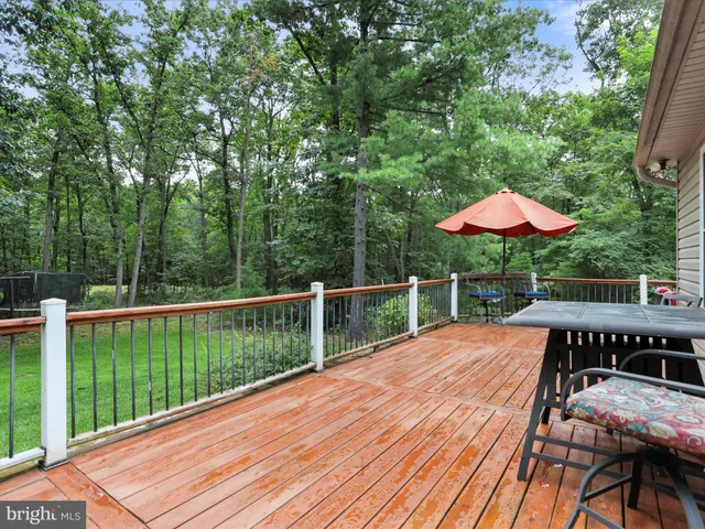a view of a forest that has large trees