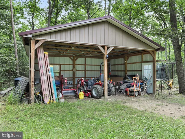 a view of a lush green forest with a mountain