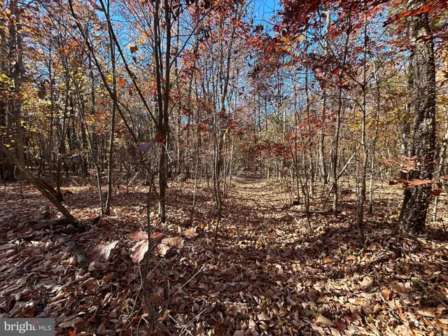 a view of a green field with lots of bushes