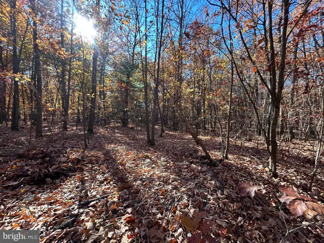 a view of a back yard