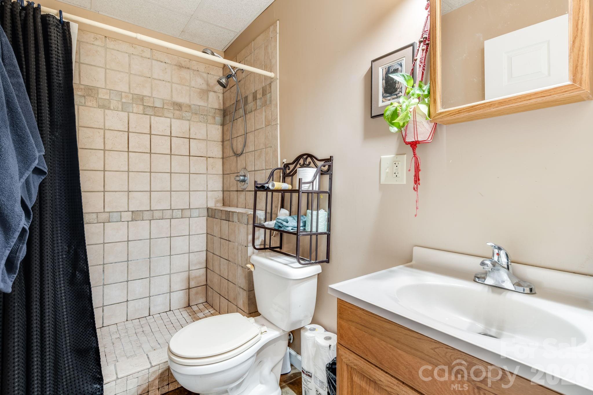 319 Glenn Bridge Road Arden, NC 28704 - Photo 26 of 31