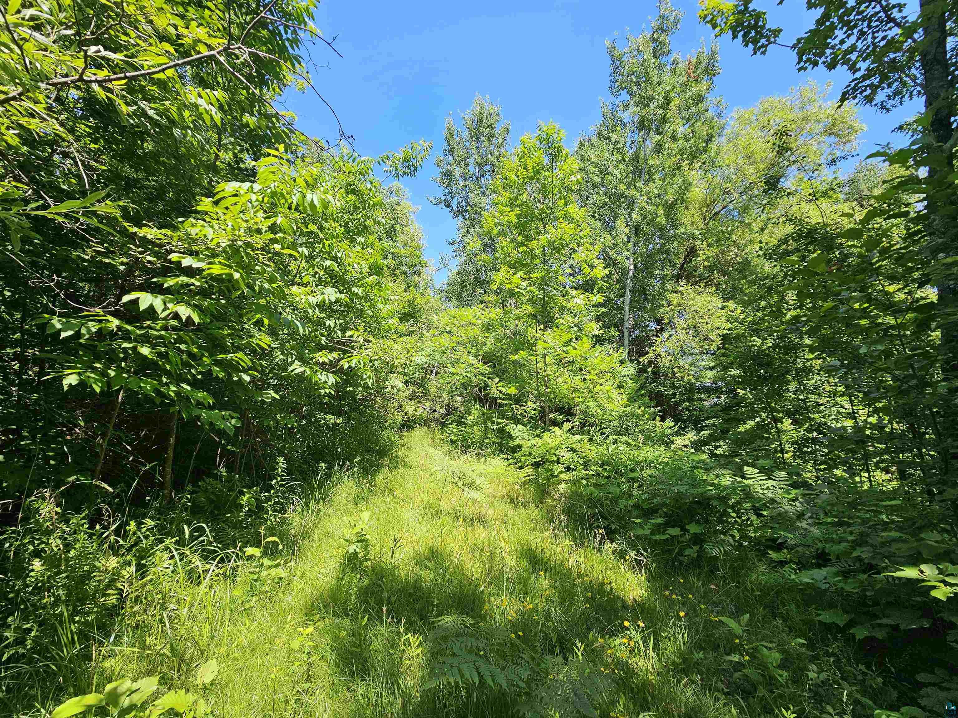 13 State Highway 13 Bayfield, WI 54814 - Photo 4 of 10