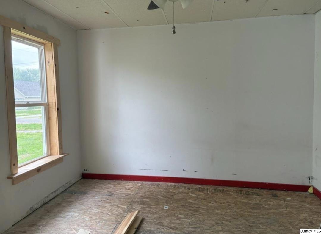 411 West 4th Street Golden, IL 62339 - Photo 3 of 12