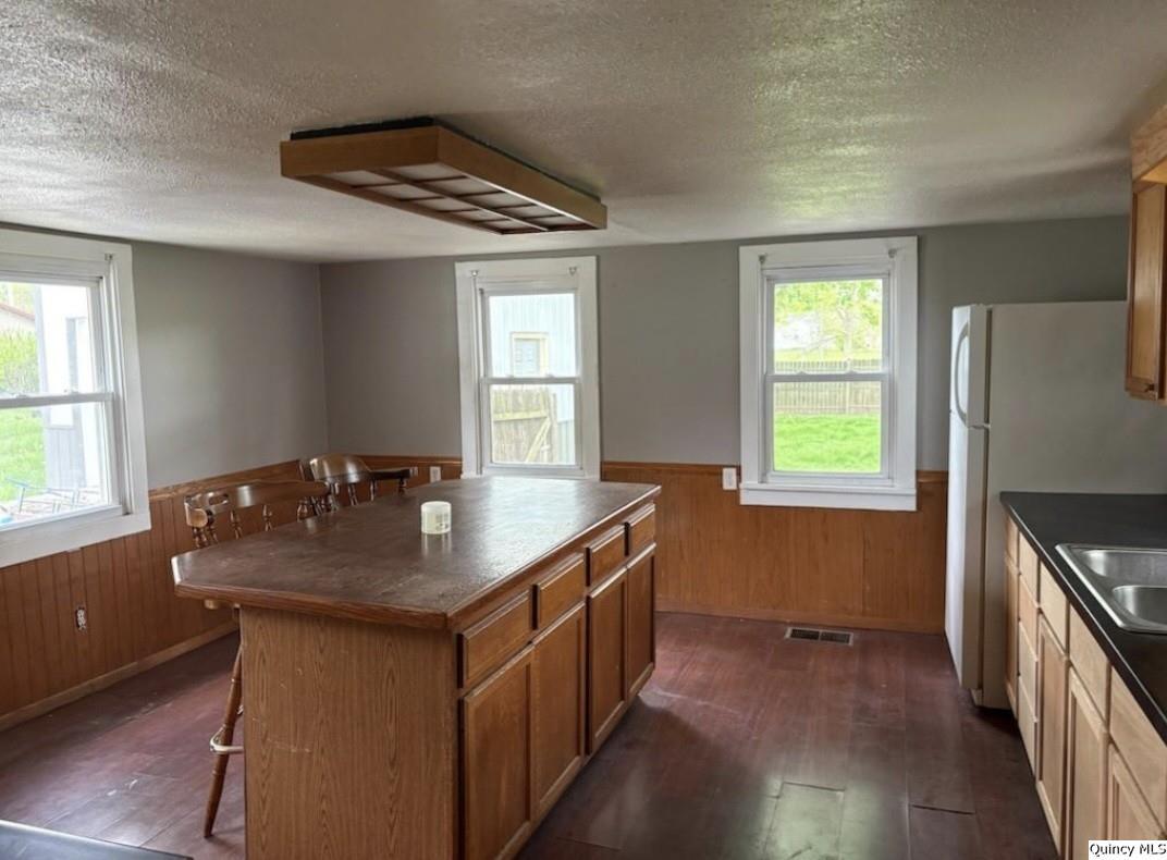 411 West 4th Street Golden, IL 62339 - Photo 7 of 12