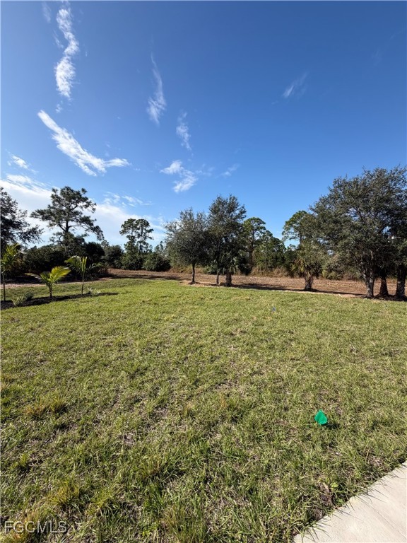 7968 3rd Terrace Lehigh Acres, FL 33936 - Photo 6 of 18 a view of a field of grass and trees